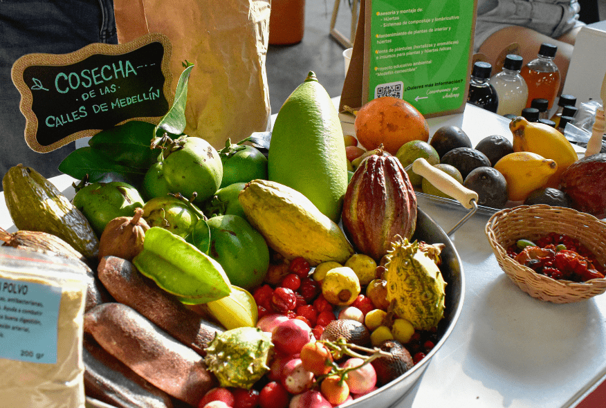 portada-alimentacion-regeneracion