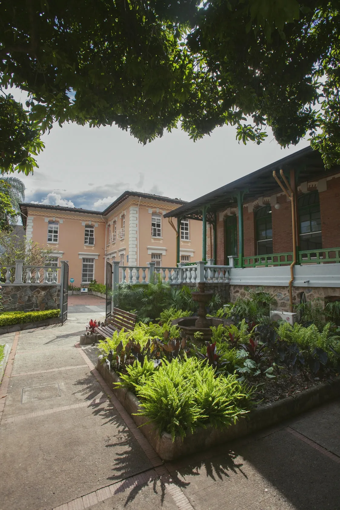 alejandro-mejia-cronicas-del-barrio-hospital-san-vicente-fundacion-9