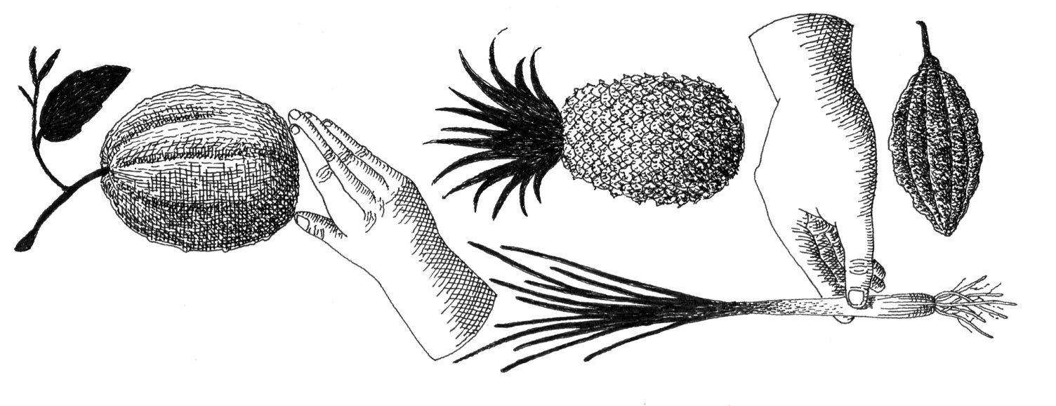 Postales de Antioquia Podcast