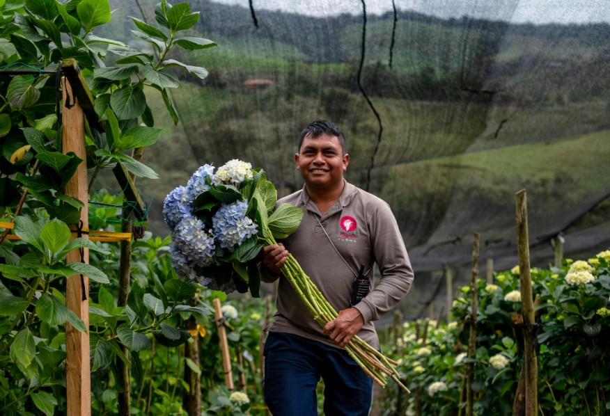 wellnes plataforma agro