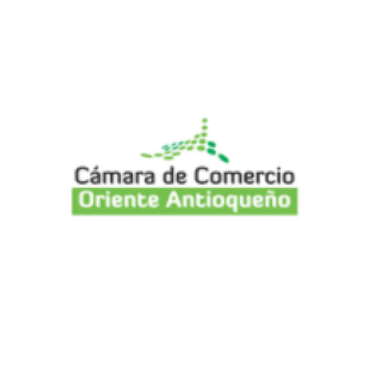 Cámara de Comercio Oriente Antioqueño