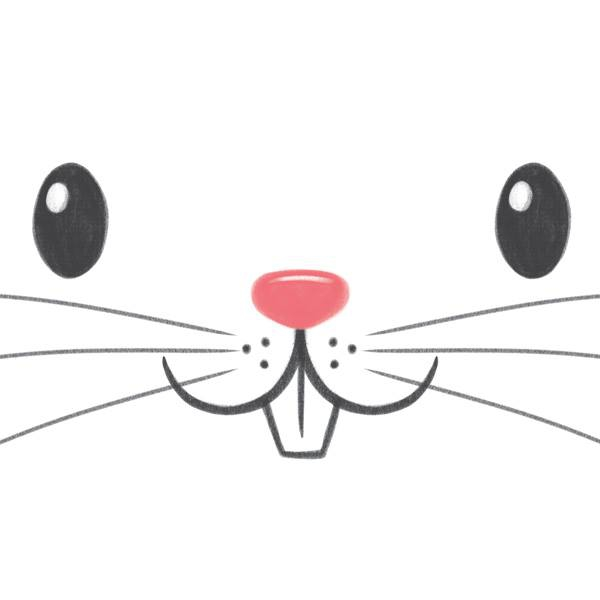 Raeioul Incorporated