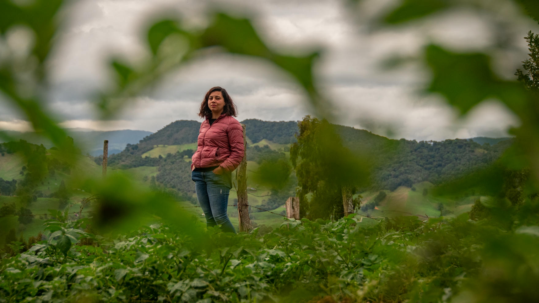 cabecera Paula Hernandez-cronicas-del-barrio-marcos-arango