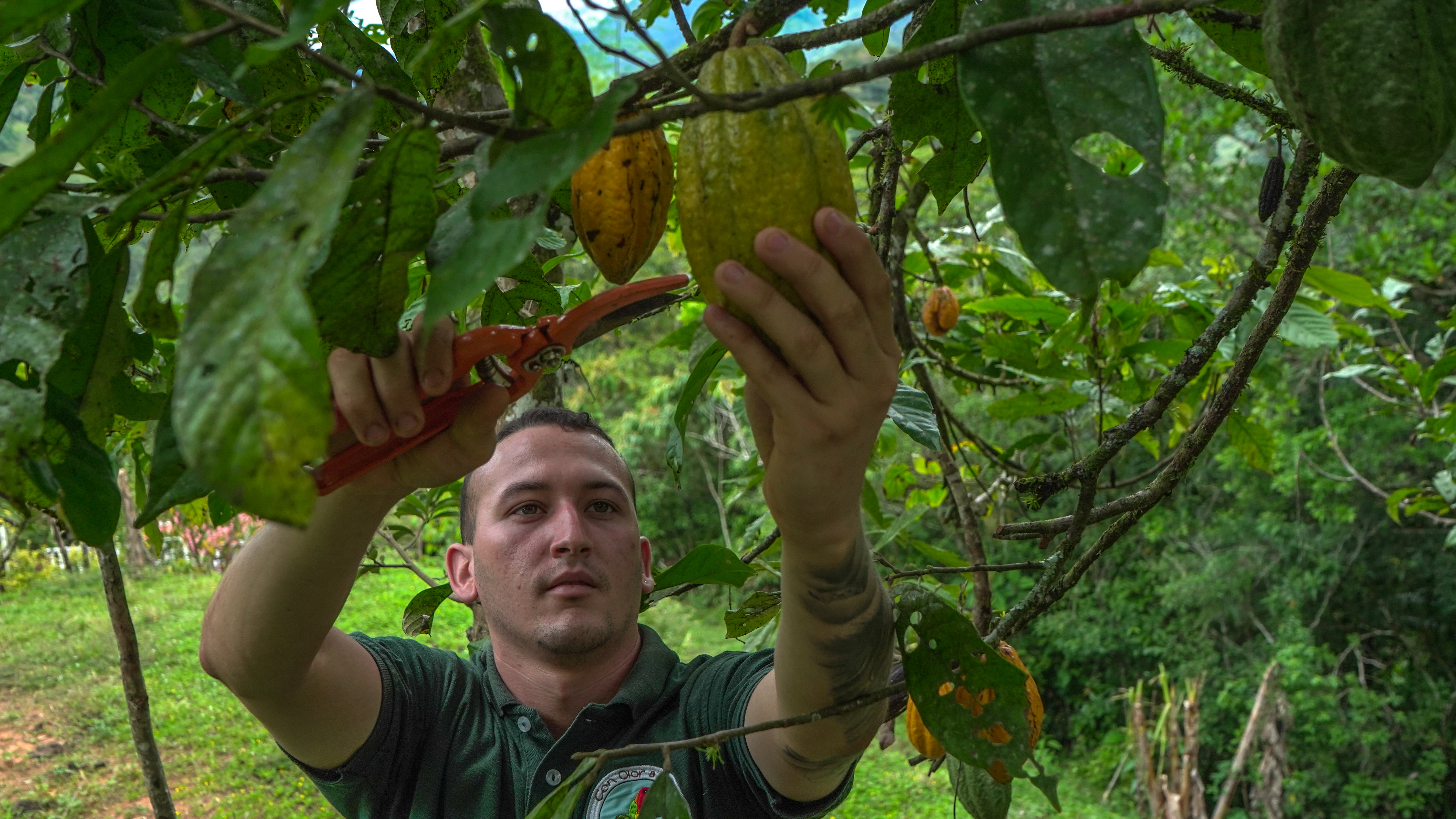 Legalmente seguros: normas que protegen tu operación