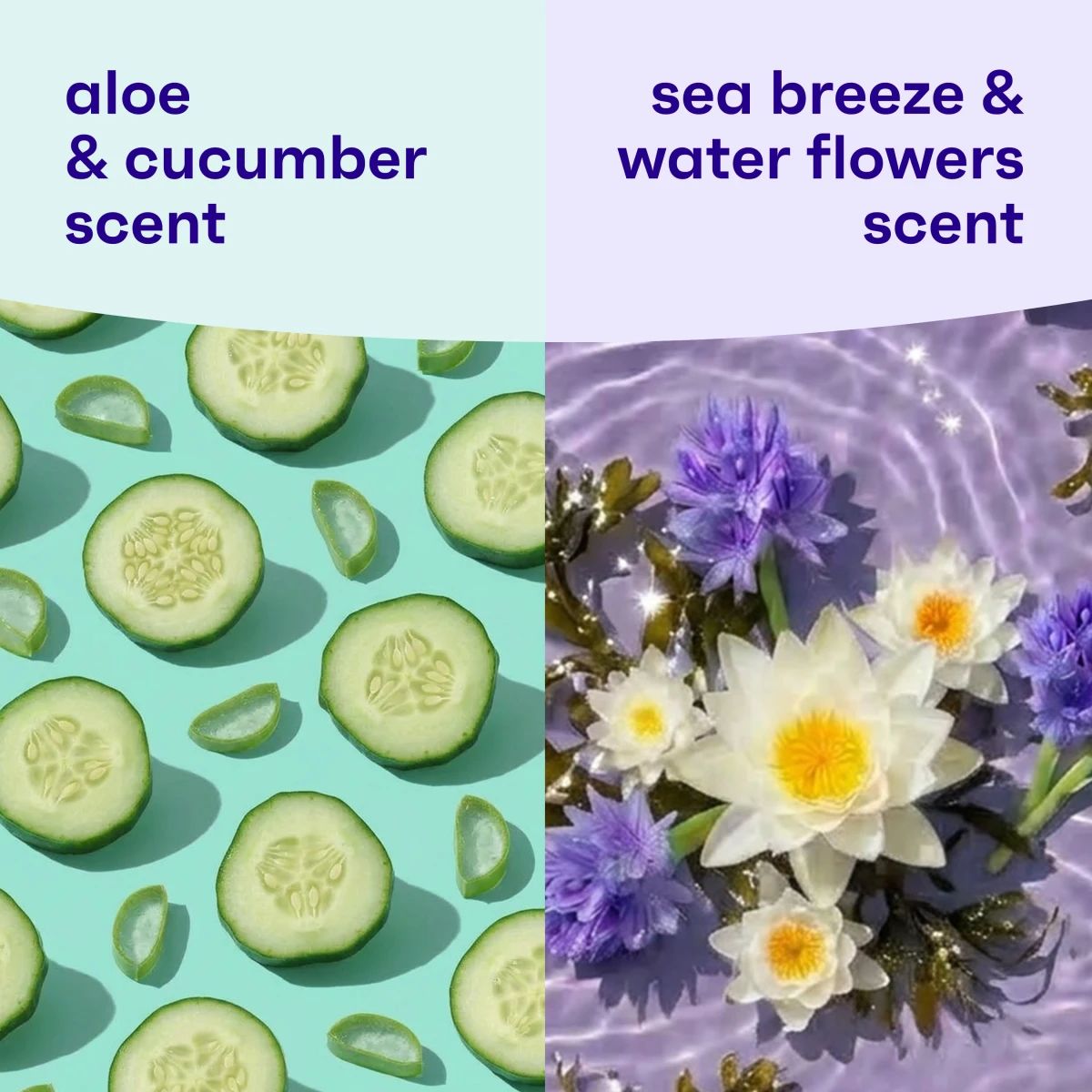 Hydrating_2Pack_3300x3300_07.webp