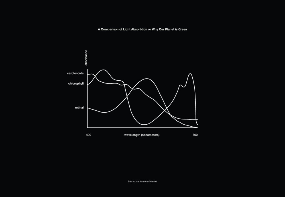 Strange Loops with Jonathan Zawada-5