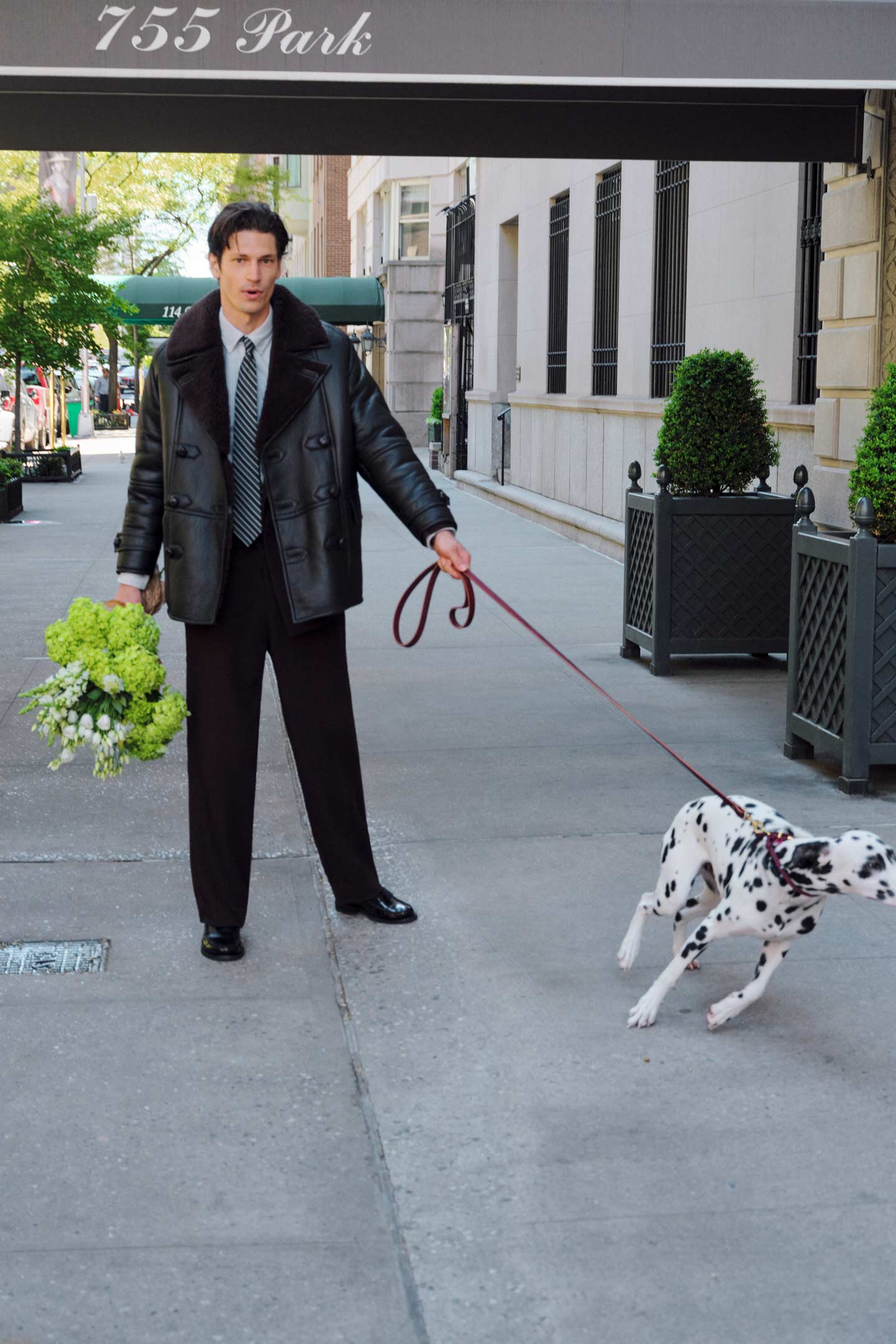 Model styled in a Gant leather coat with shearling trim worn over a shirt and tie, standing outdoors with a Dalmatian.