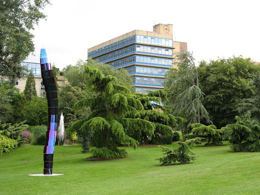University of Surrey