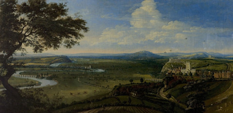 Forest Fields