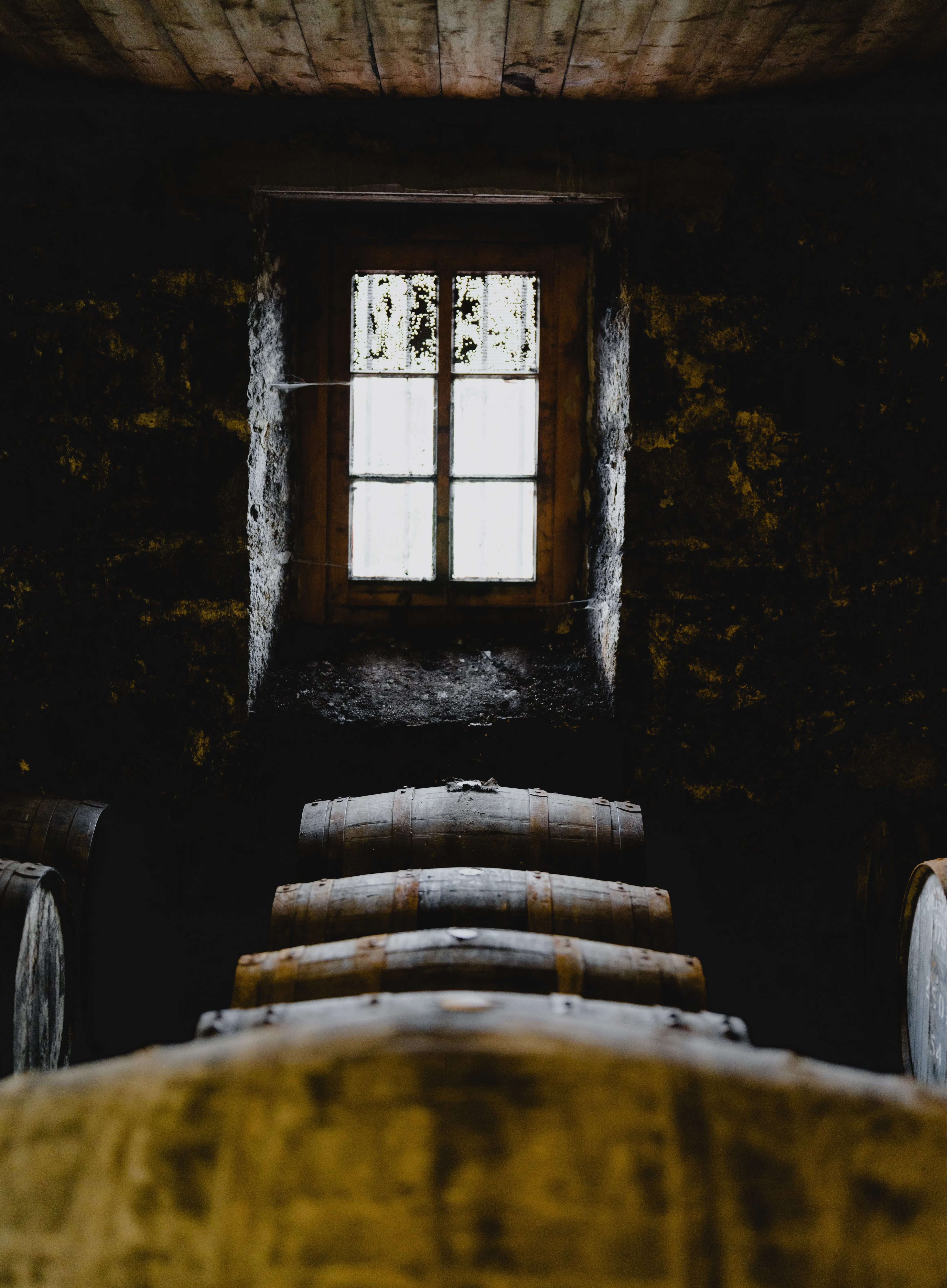 A row of whisky barrels in front of a small bright window.