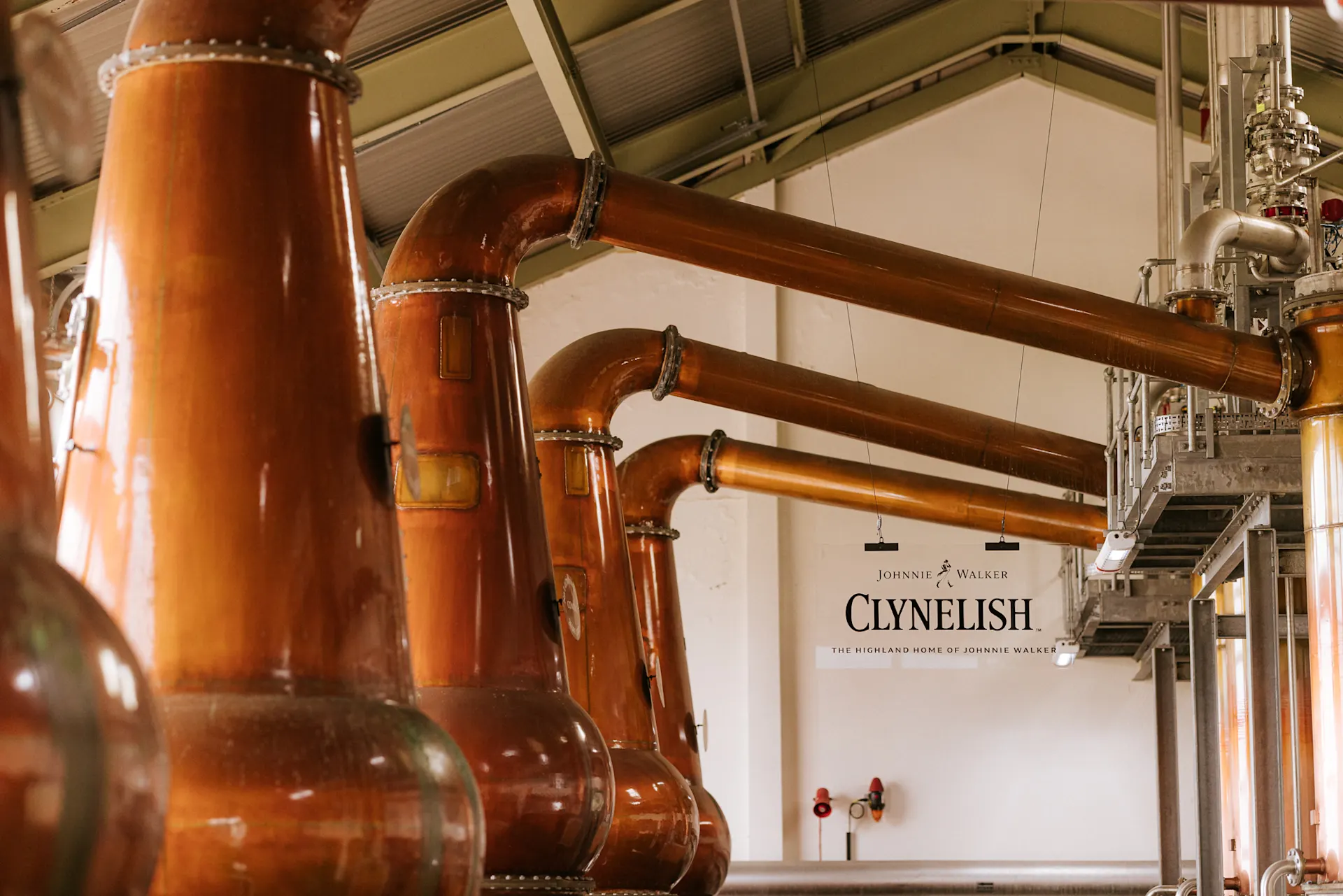 Inside of a working whisky distillery