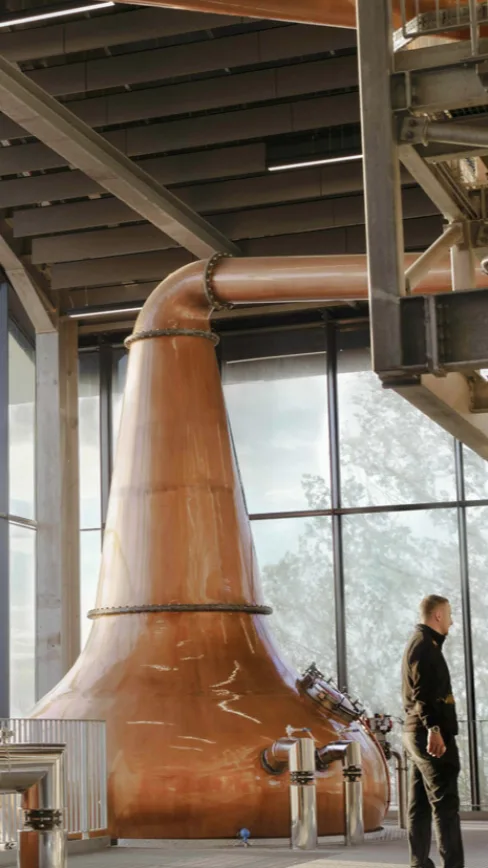 Interior whisky distillery showing large copper pot stills gleaming under natural light.