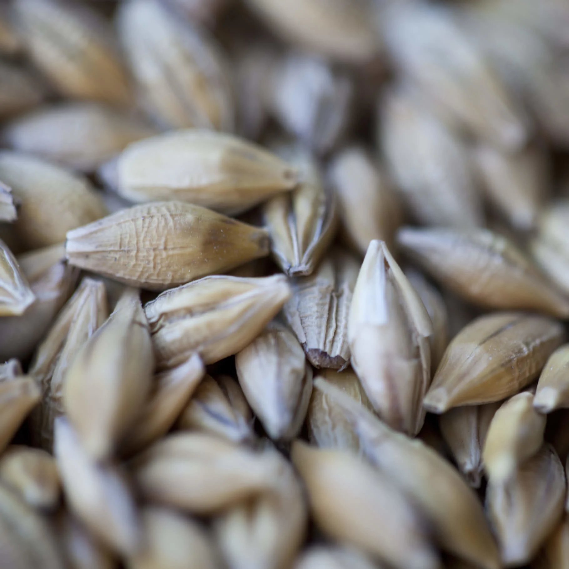 威士忌X佐餐秘訣,從威士忌的構成學習佐餐門道