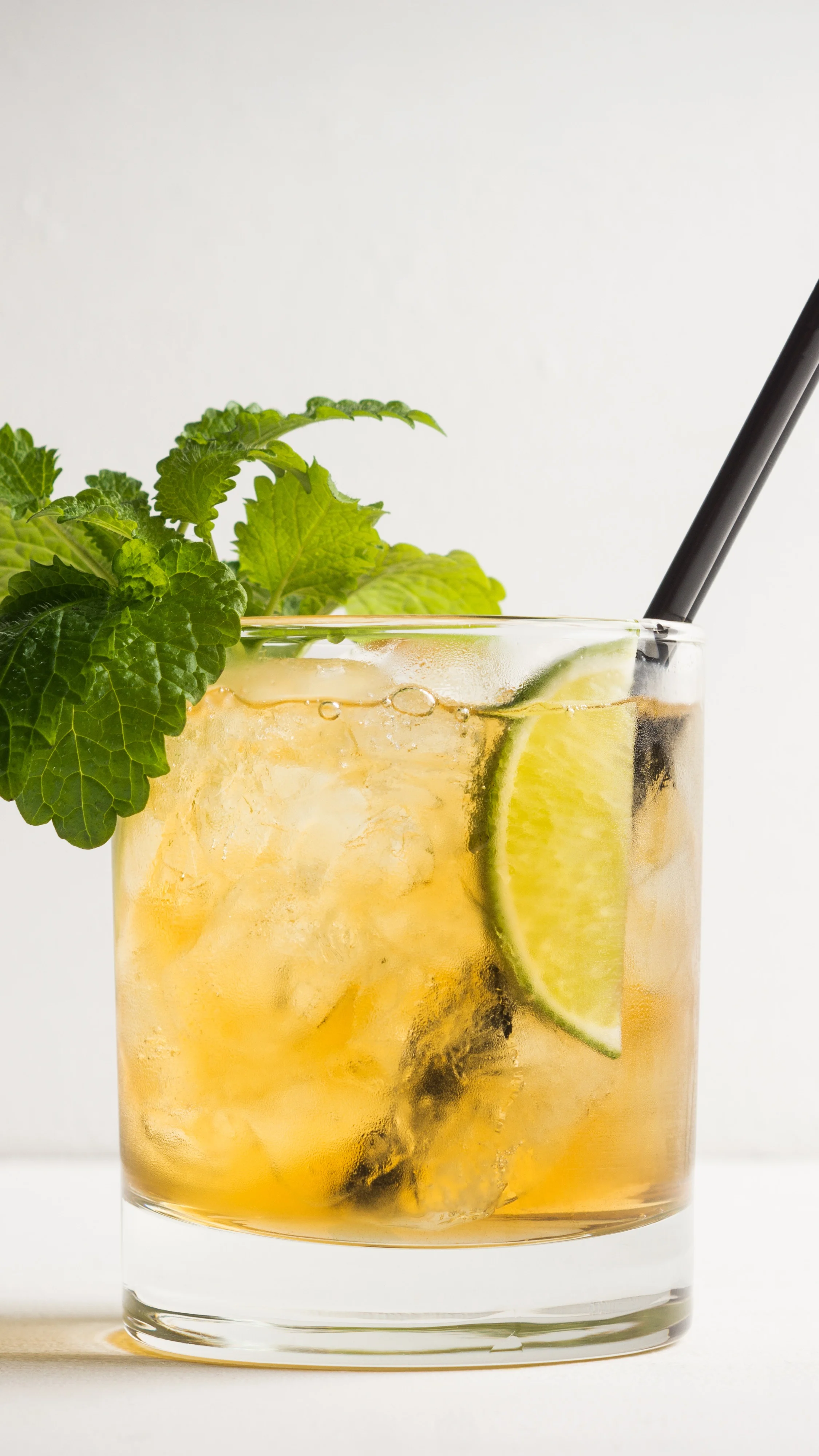  A Whiskey Smash cocktail in a rocks glass with a mint sprig garnish and a citrus segment