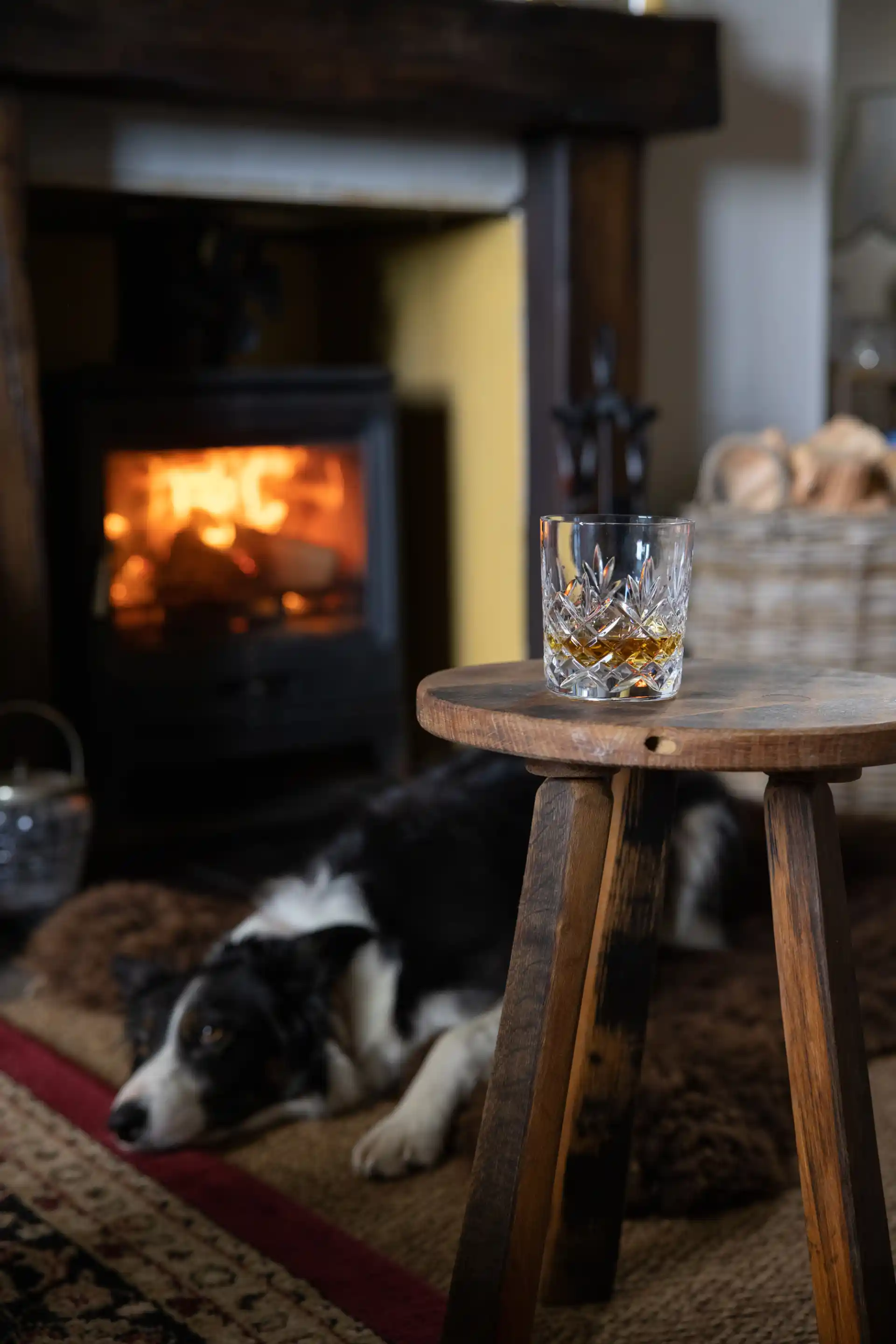 A border collie lays on a rug in front of a fireplace. On a wooden table nearby sits a rocks glass containing whisky