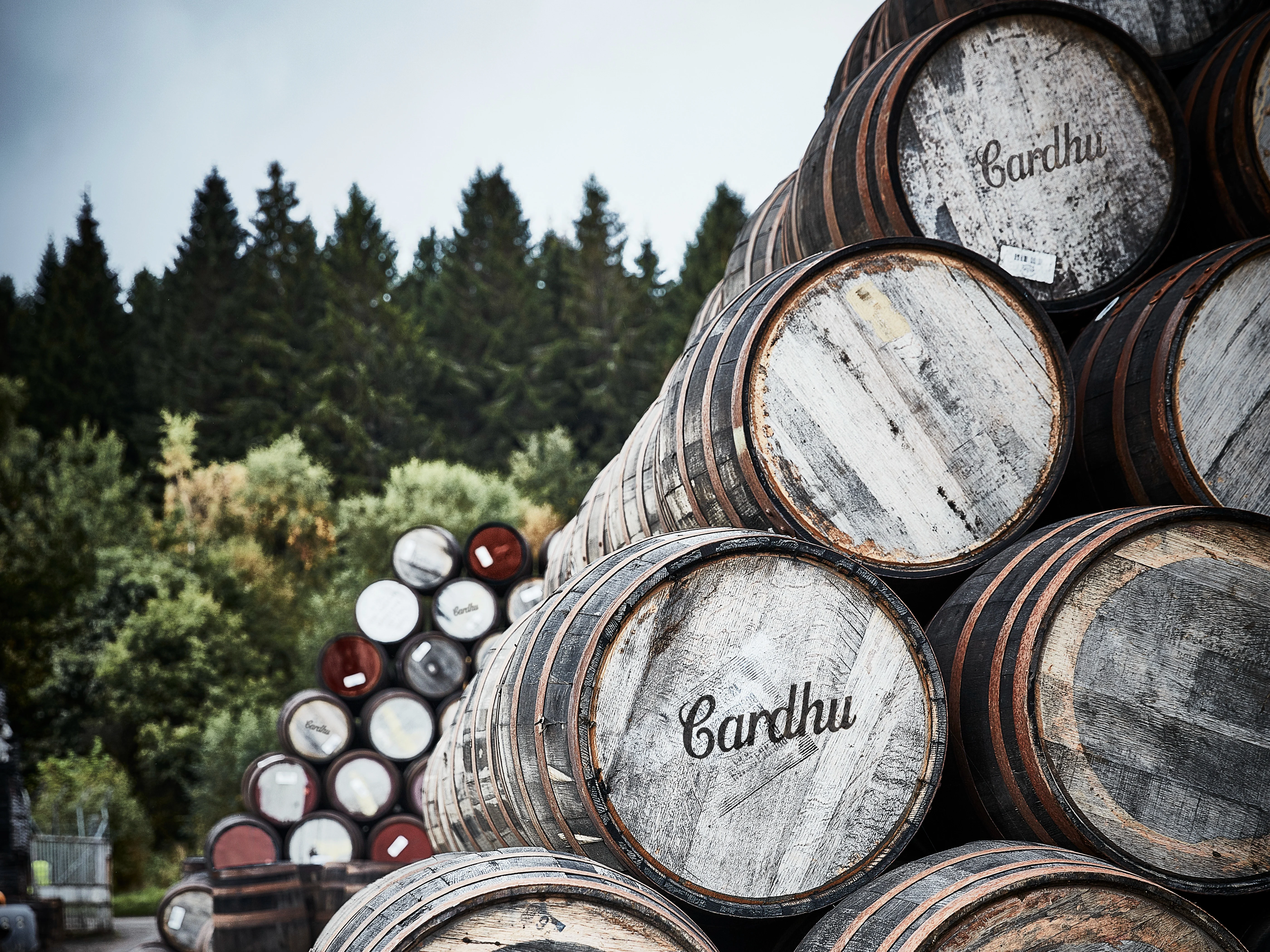 A stack of whisky barrels outside, some with the Cardhu branding, against a grey sky and background of green fir trees.