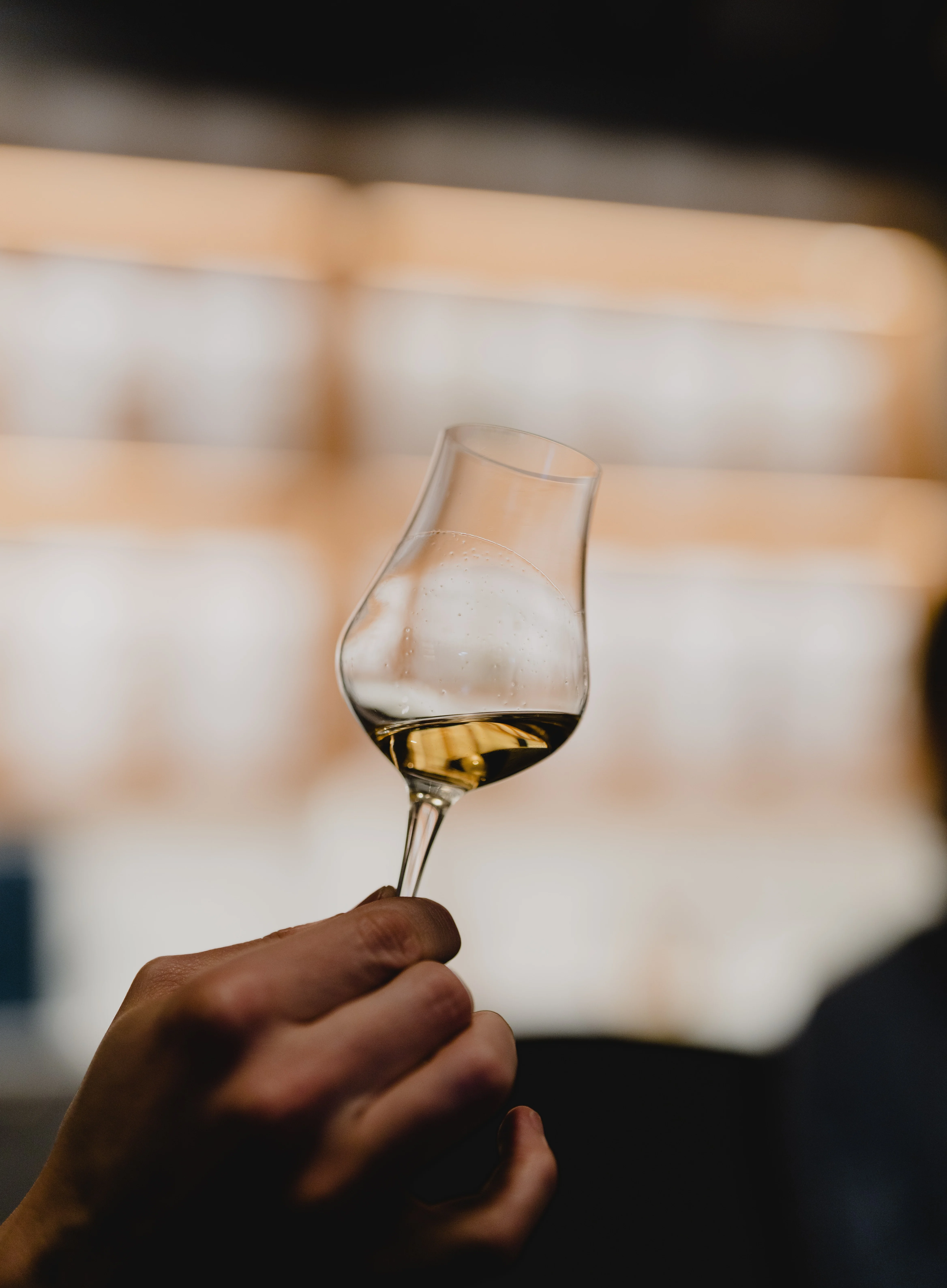 Person holding a small glass of whisky to the light.