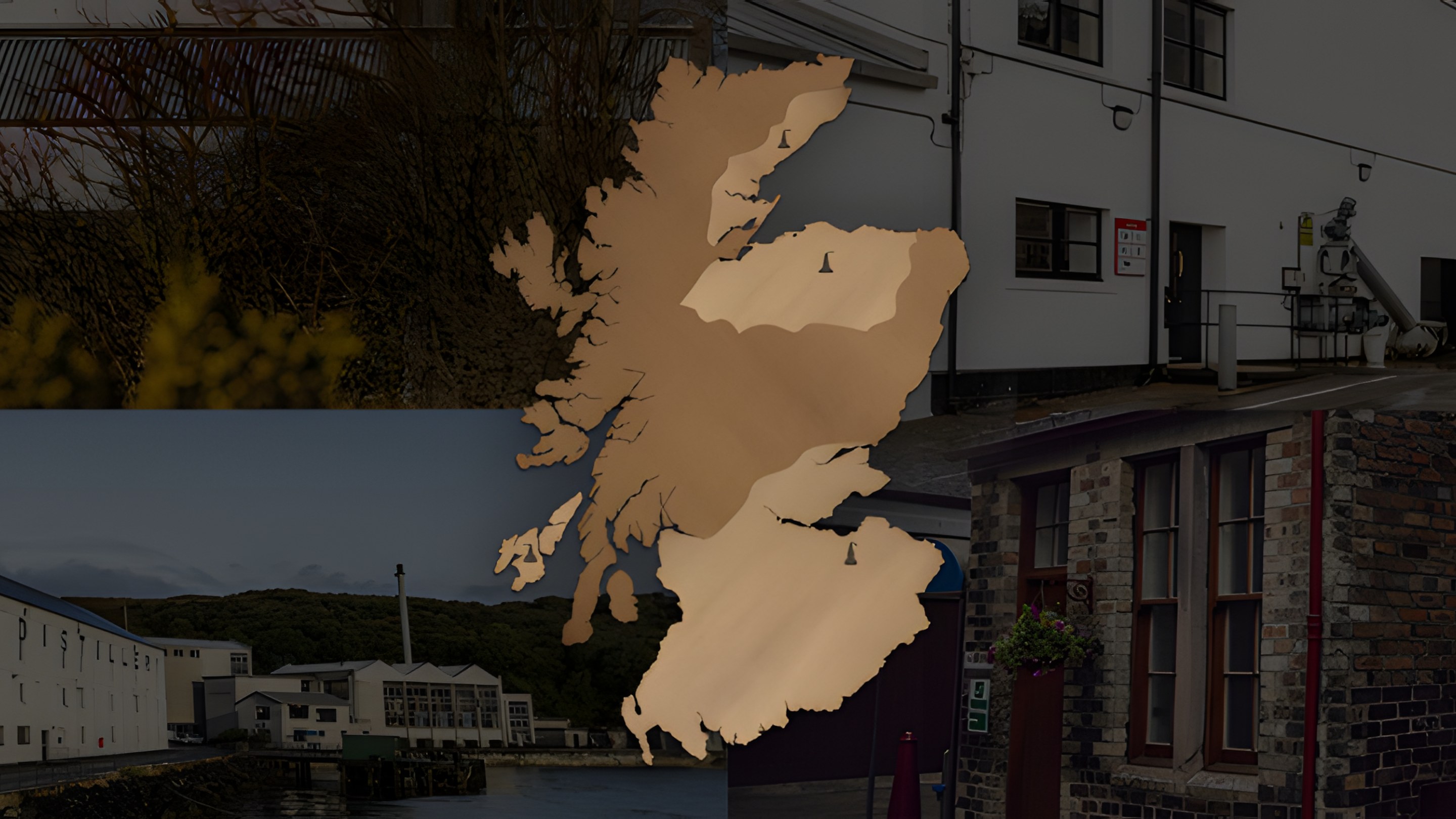 The Four Corner Collections