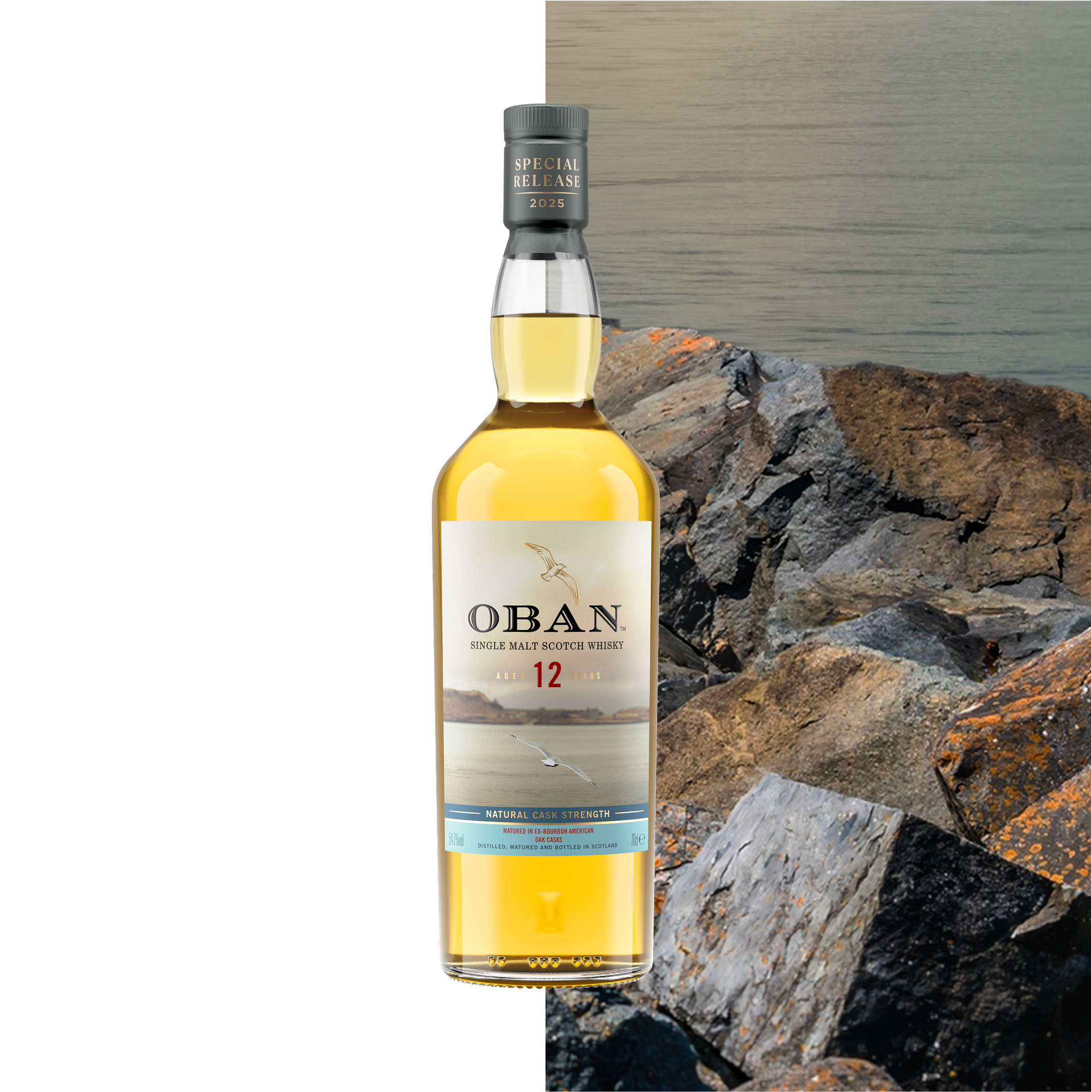 Oban Heart of the Harbour-fles met kust- en dessertgezicht