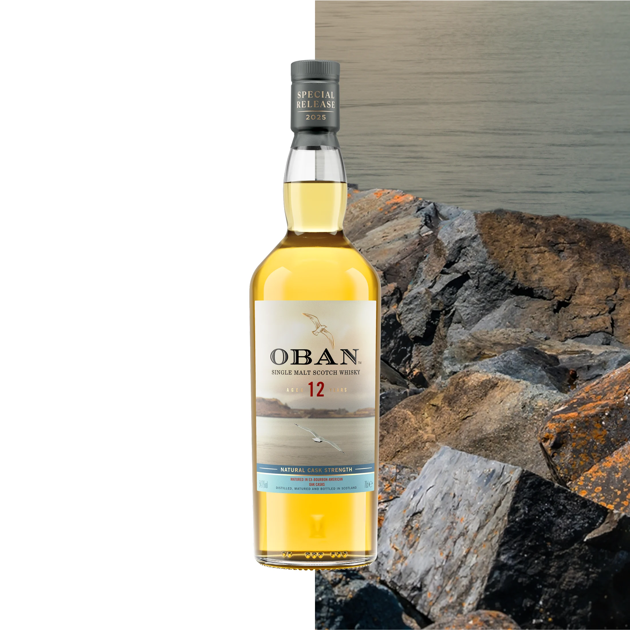 Oban Heart of the Harbour bottle with coastal and dessert scene