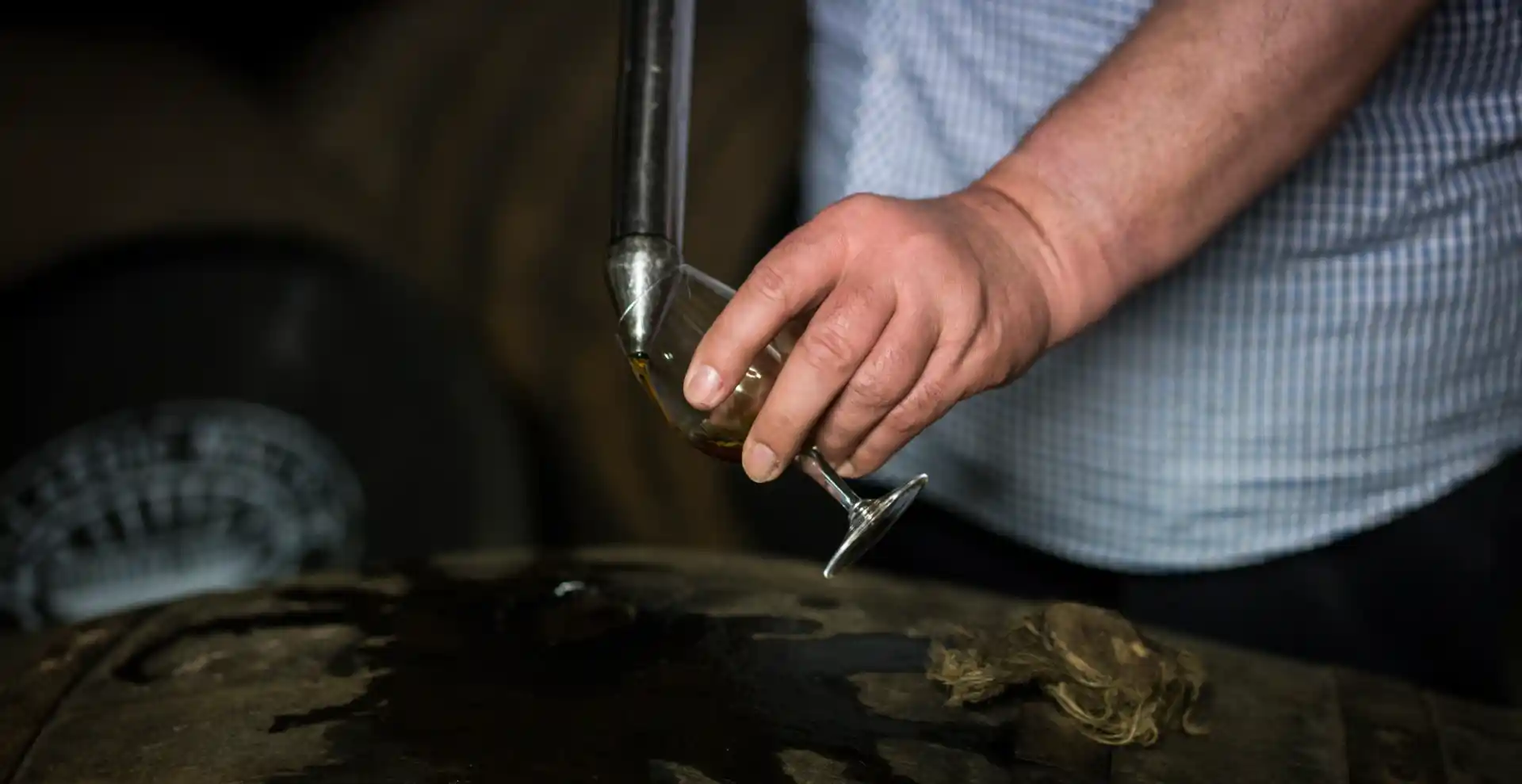 A person holds a large metal pipette and uses it to extract whisky from a wooden barrel. The end of the pipette is placed into a dram glass that the person holds in their other hand, and whisky is poured into the glass.