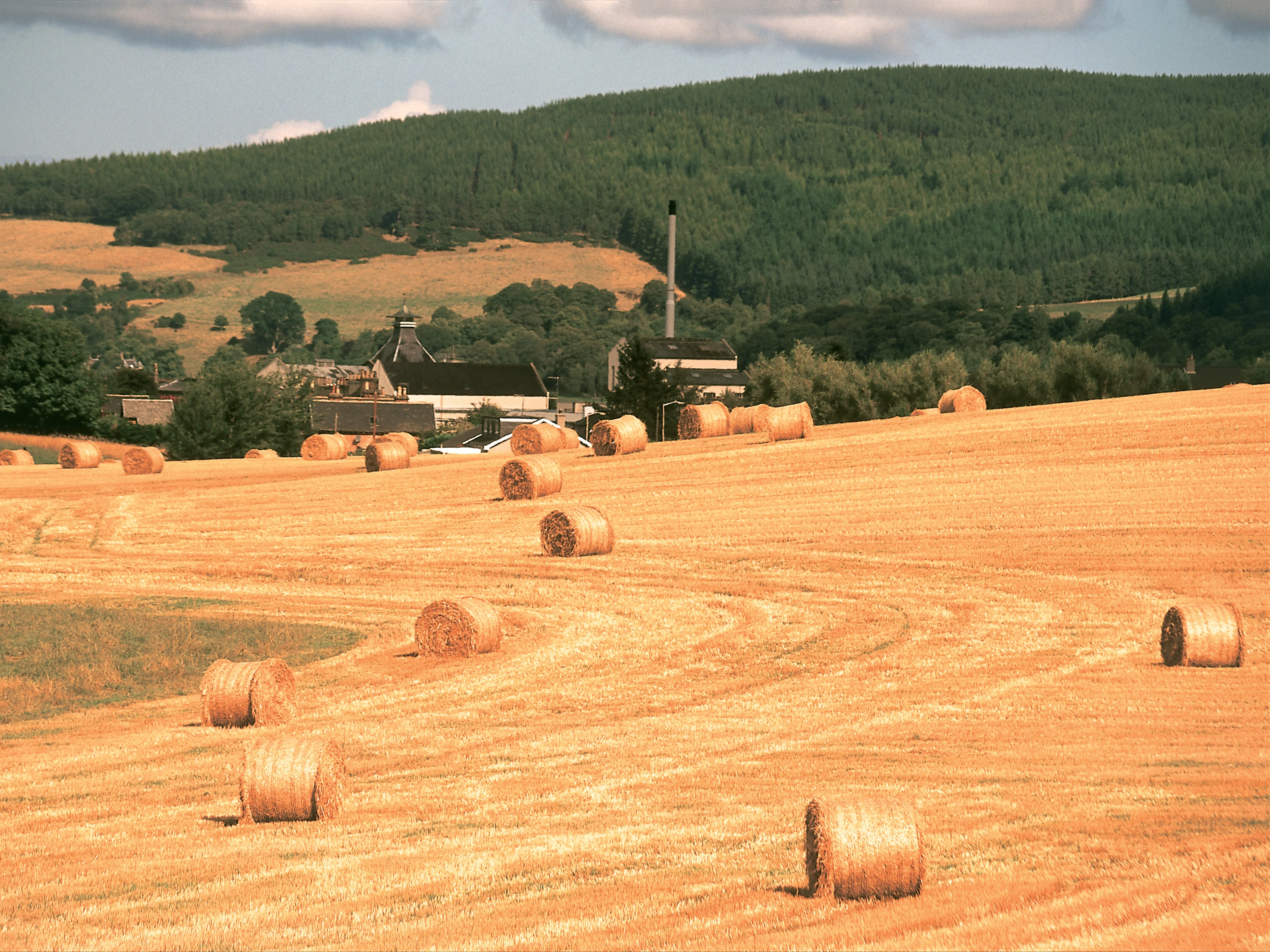 Hay bales on rolling golden hills in the Scottish countryside. 