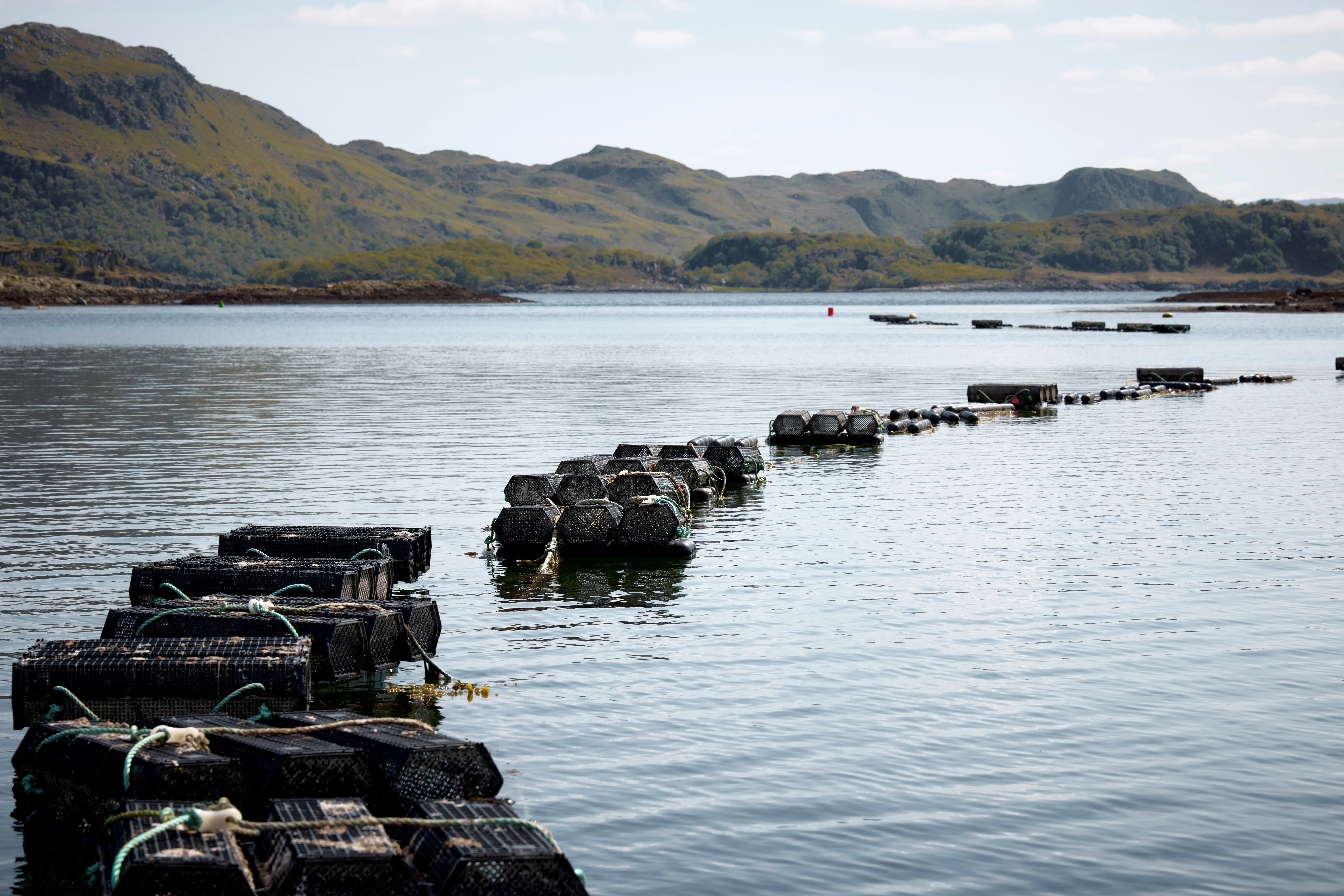Scottish coastal view with lobster traps for 'seawilding'