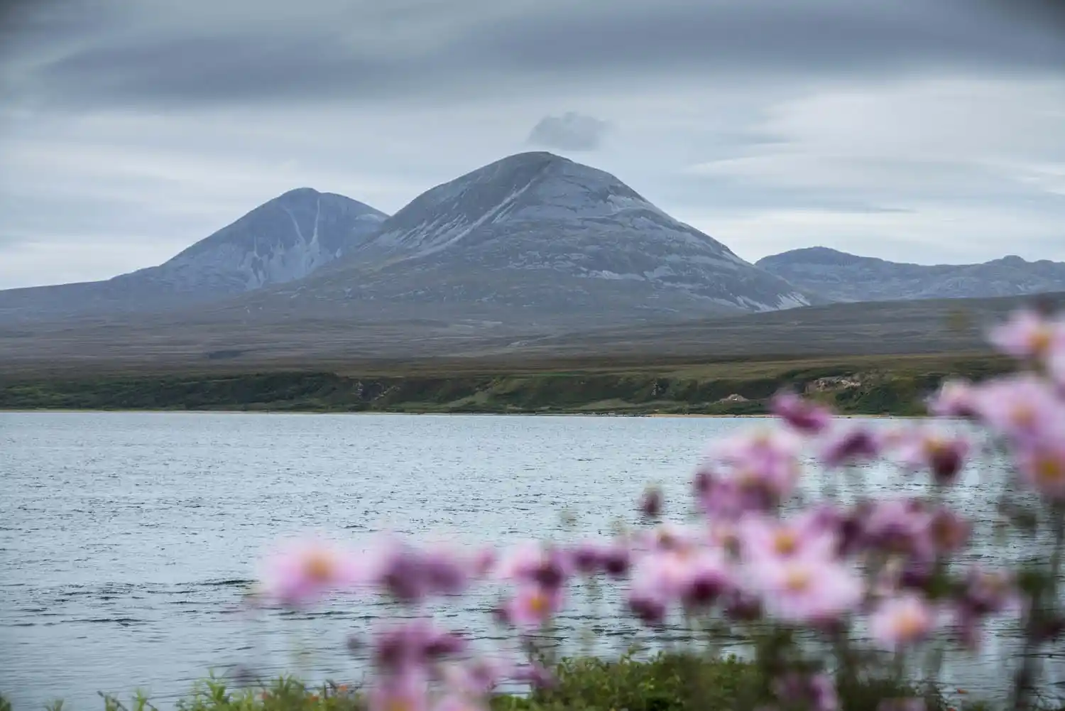 Two large mountain peaks are see in the background, surrounded by a rugged coastline which meets a still body of water. In the foreground, in soft focus, are several pink flowers.