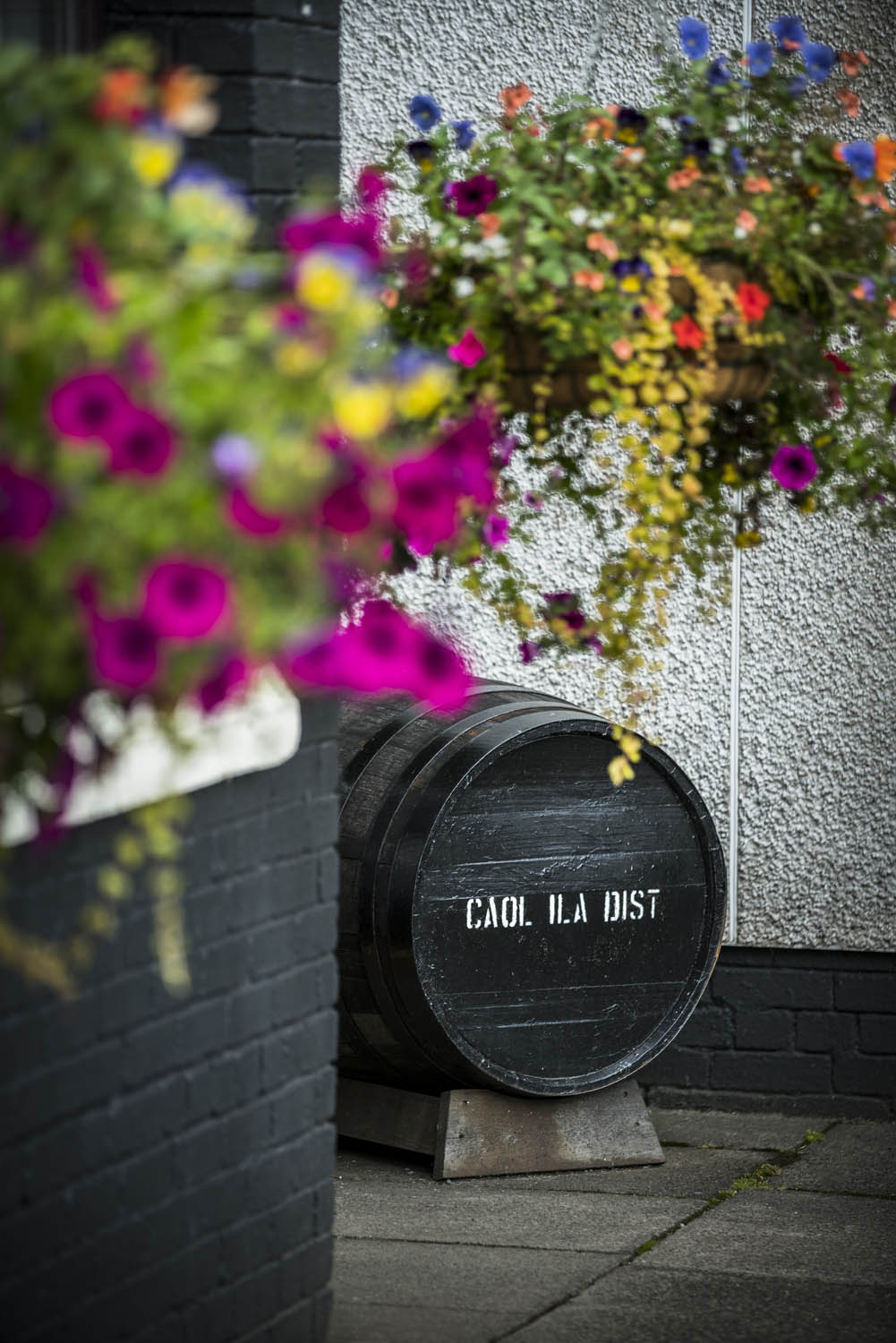 Ein schwarzes Holzfass steht hinter der Ecke einer schwarzen Backsteinmauer vor einer weißen Wand. Auf dem Fass steht in weißen Buchstaben "Caol Ila Dist". Das Fass wird von hängenden Körben mit verschiedenen bunten Blumen eingerahmt.