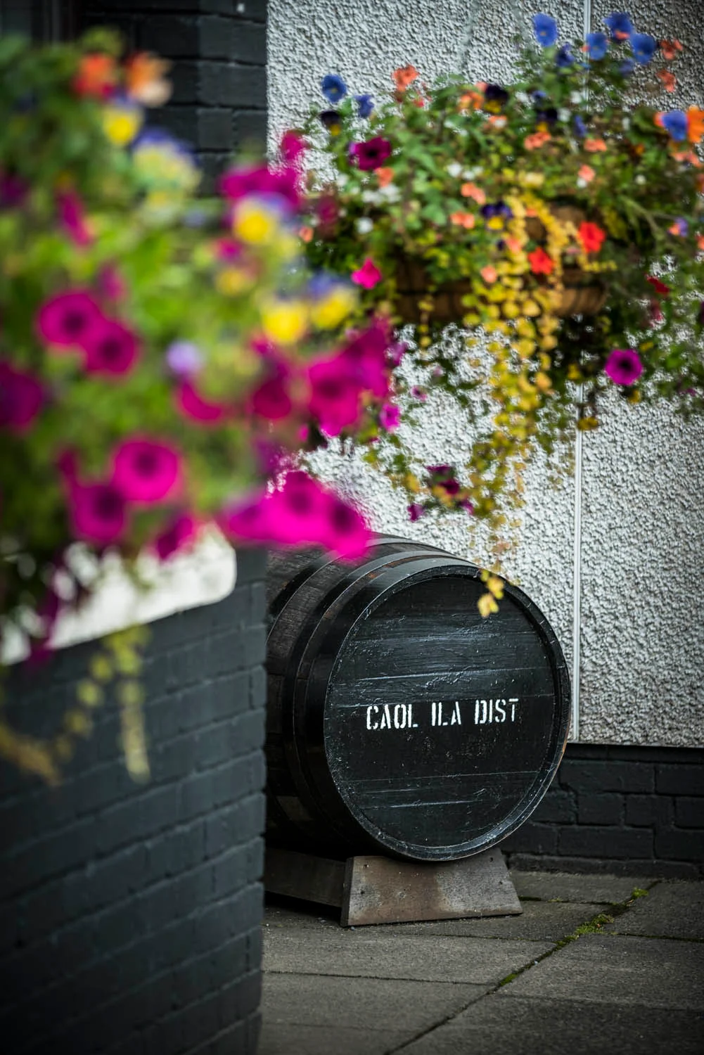 Ein schwarzes Holzfass steht hinter der Ecke einer schwarzen Backsteinmauer vor einer weißen Wand. Auf dem Fass steht in weißen Buchstaben "Caol Ila Dist". Das Fass wird von hängenden Körben mit verschiedenen bunten Blumen eingerahmt.