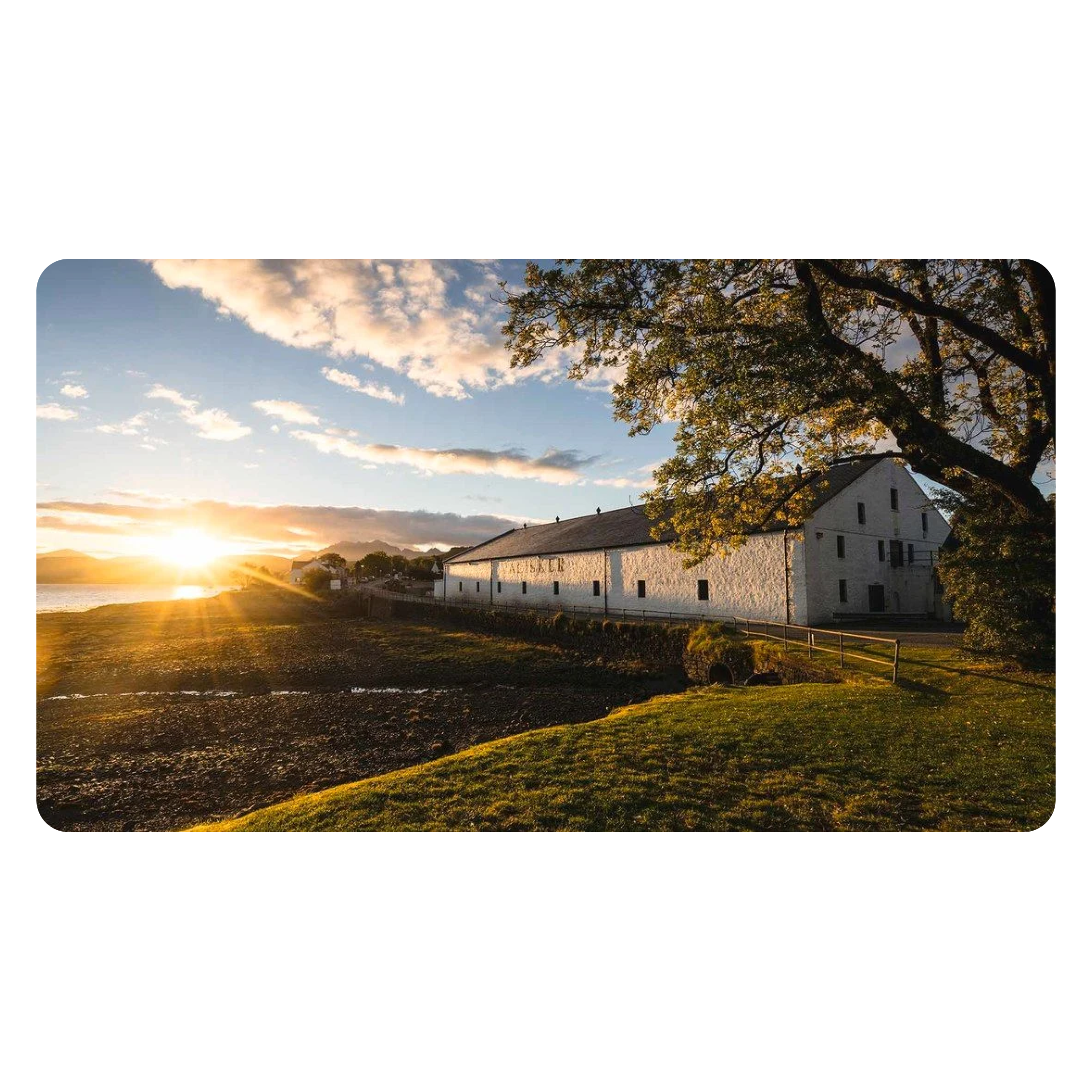 The sun shines across the beautiful landscape illuminating the white building that is home to Talisker.