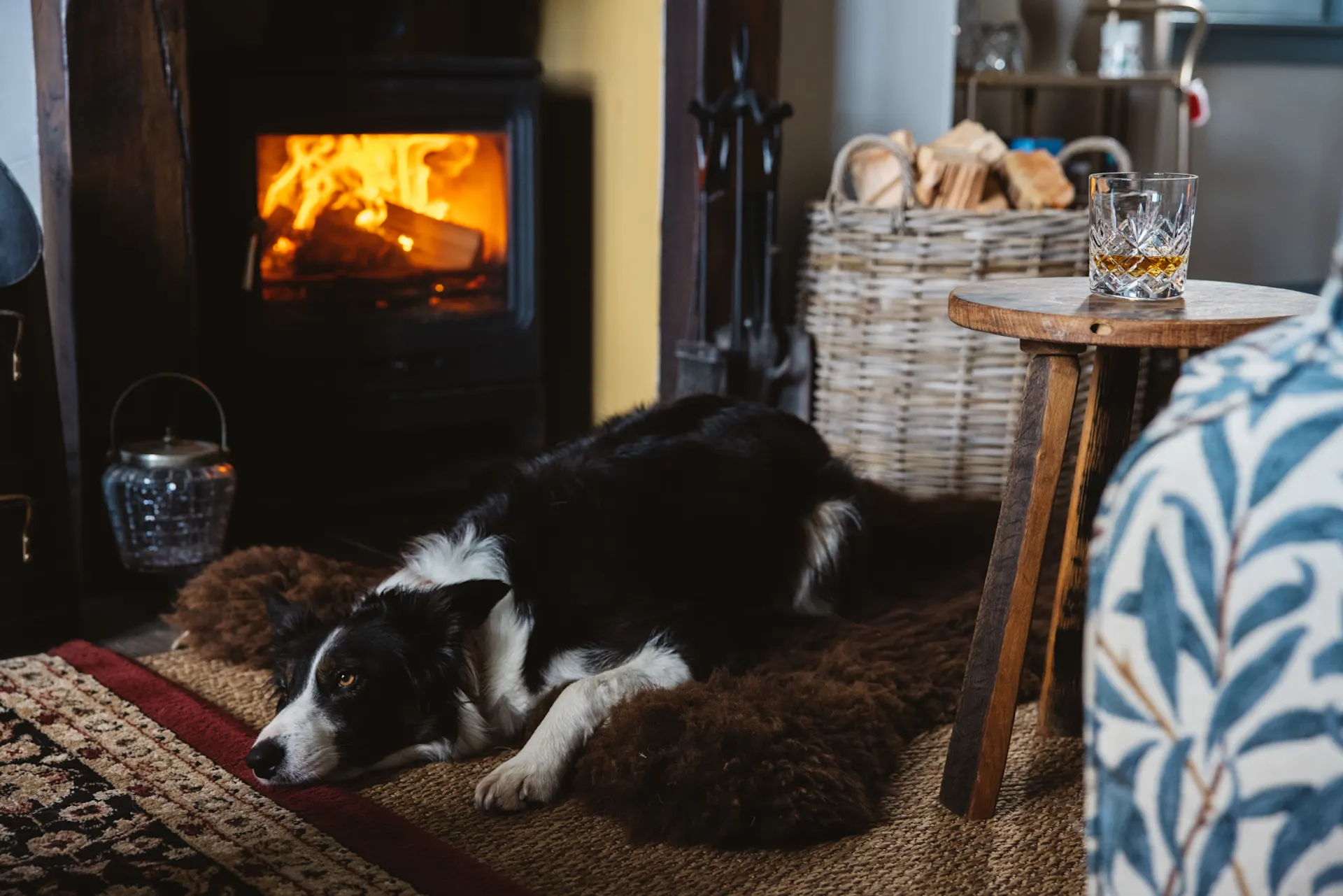 A border collie lays on a rug in front of a fireplace. On a wooden table nearby sits a rocks glass containing whisky