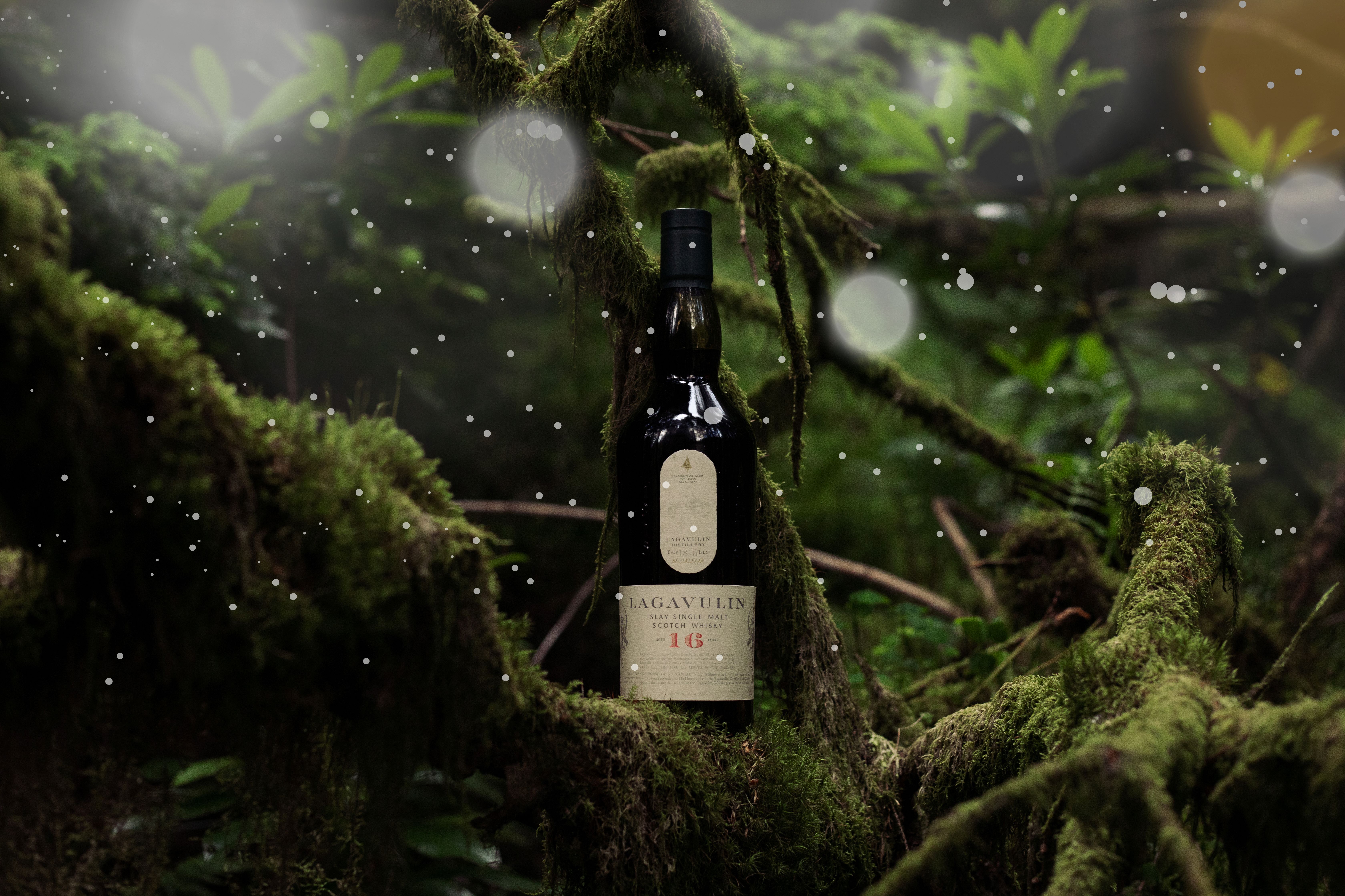 Bottle of Lagavulin placed in one of the branches of a Christmas tree