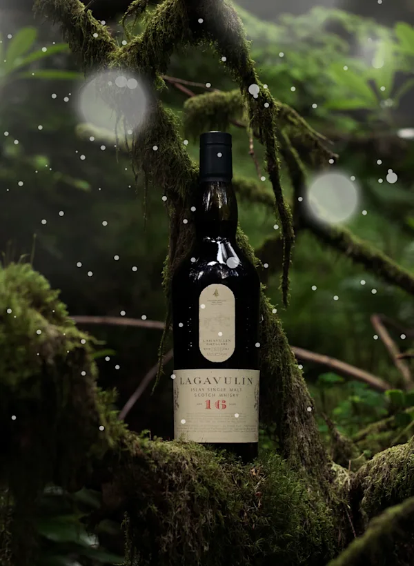 Bottle of Lagavulin placed in one of the branches of a Christmas tree