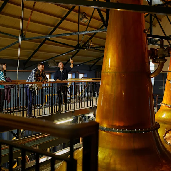 Group of people looking at the brewing process at Dalwhinnie Distillery