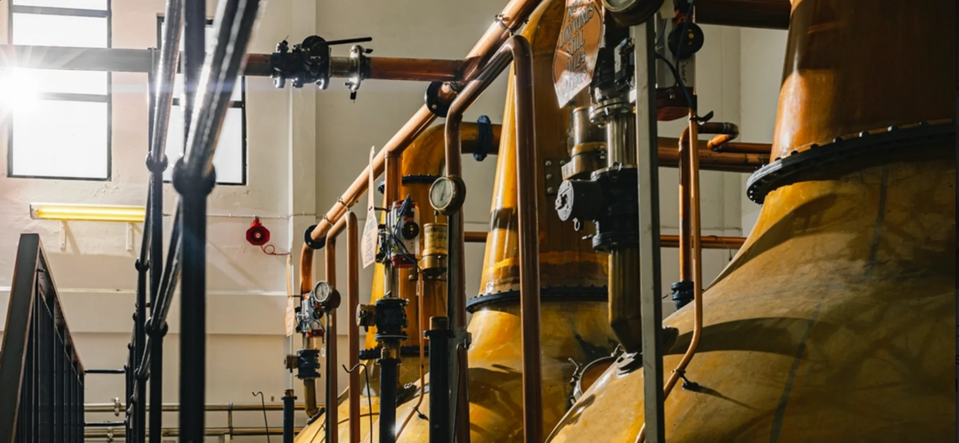 Talisker: The Discovery Tour
