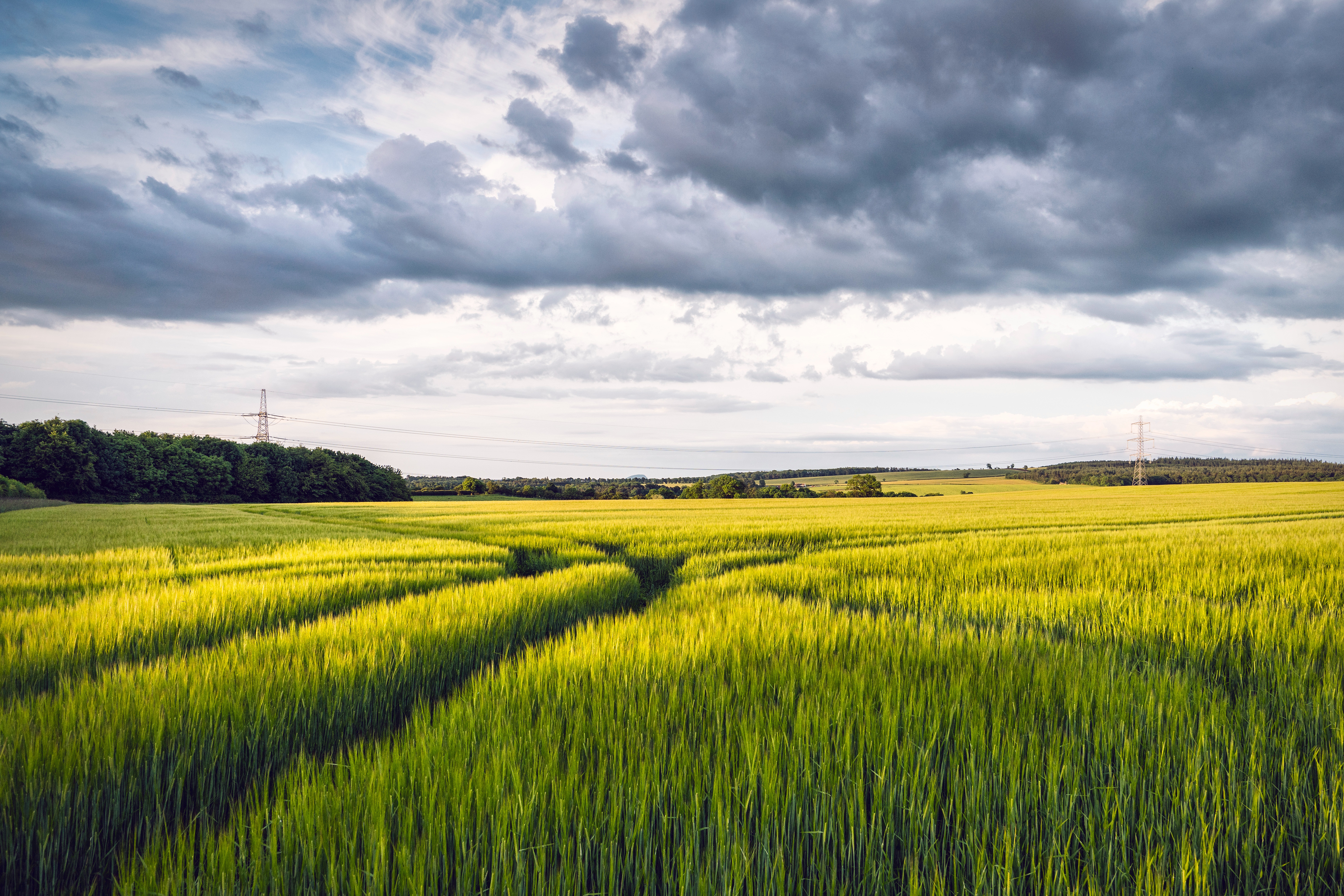 A green field in the Lowlands, with a dark and stormy sky above