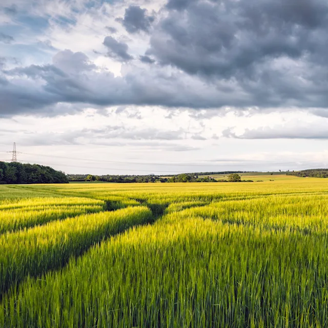A green field in the Lowlands, with a dark and stormy sky above