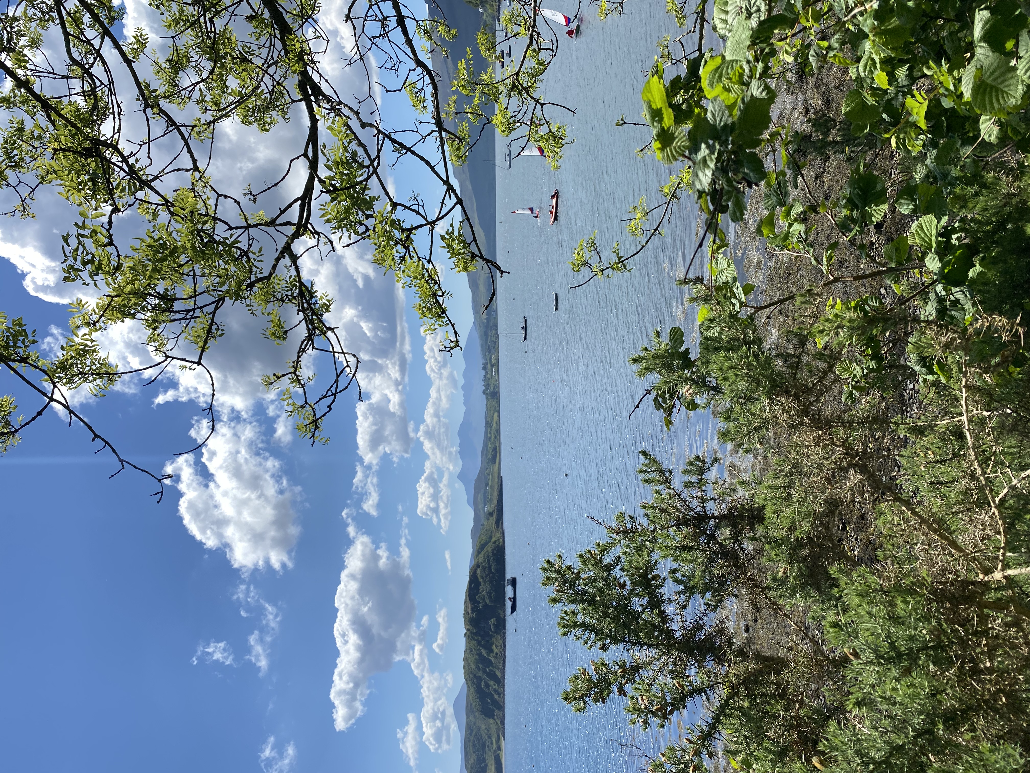 The Scottish shoreline is seen from a highpoint, surrounded by trees with boats on the water.