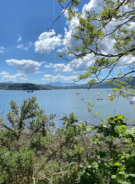 De Schotse kustlijn is te zien vanaf een hoog punt, omringd door bomen met boten op het water.