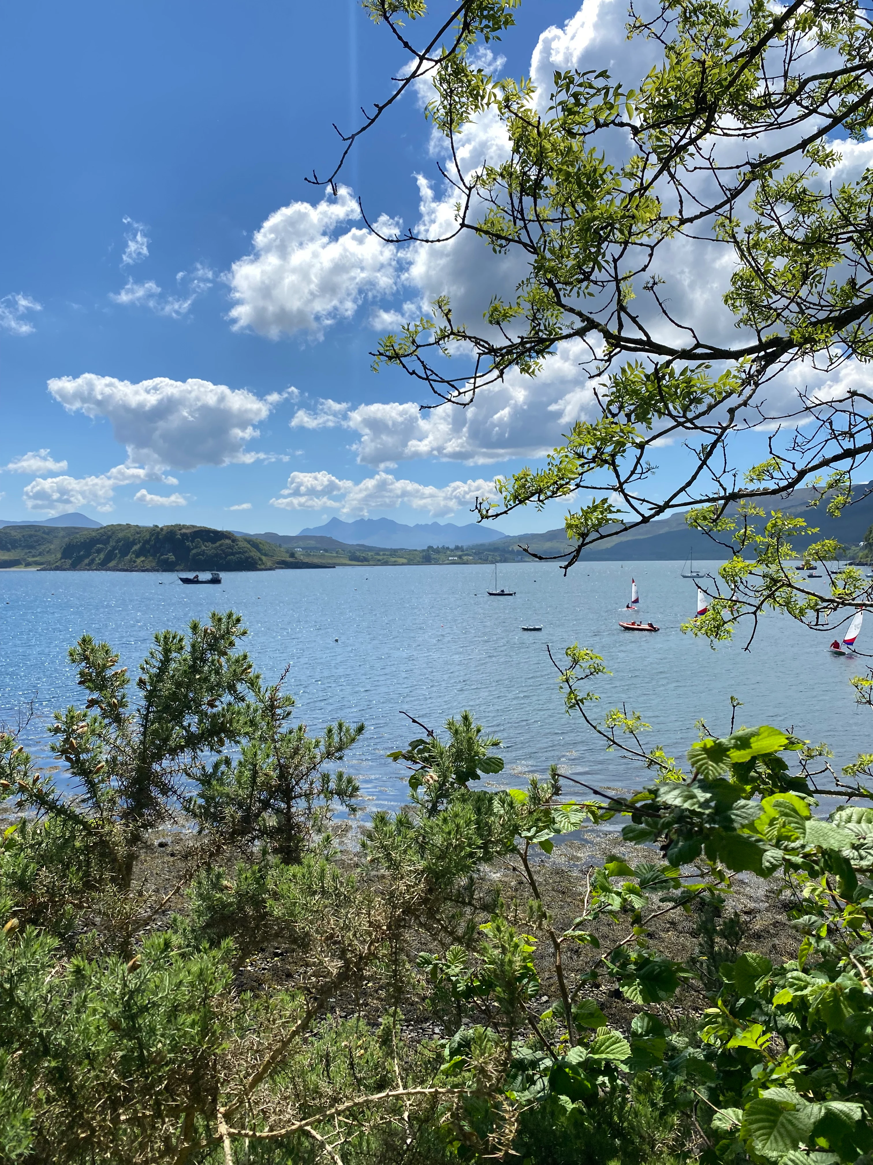 The Scottish shoreline is seen from a highpoint, surrounded by trees with boats on the water.