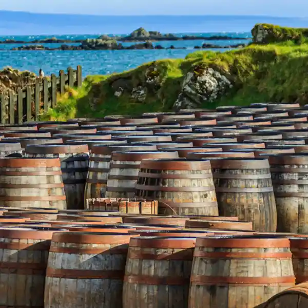 Viele, viele Whiskyfässer vor einer Kulisse aus Gras, Felsen und Meer