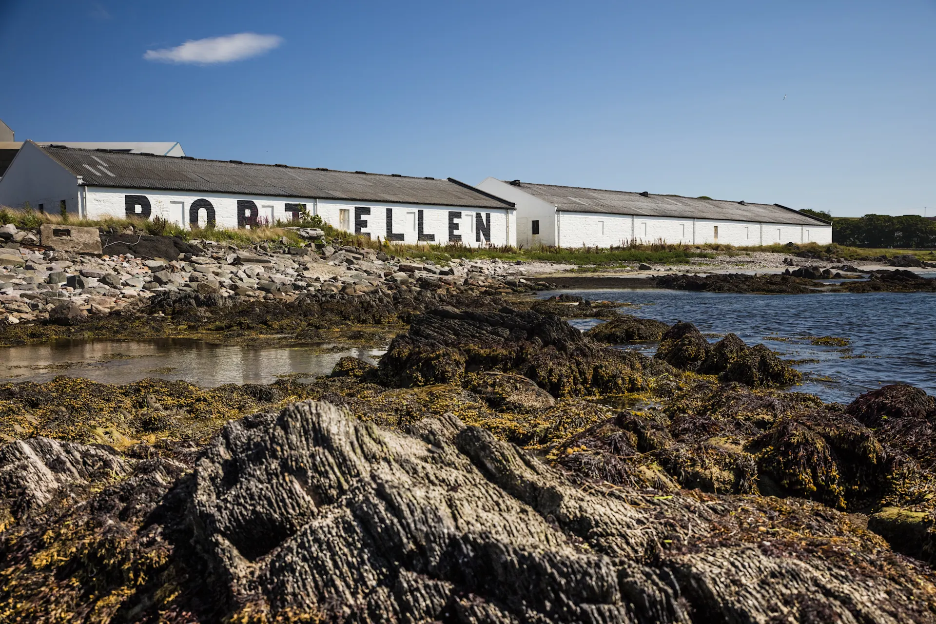 A rocky shore and still body of water sits in front of the white building of Port Ellen distillery, against a backdrop of a bright blue sky.