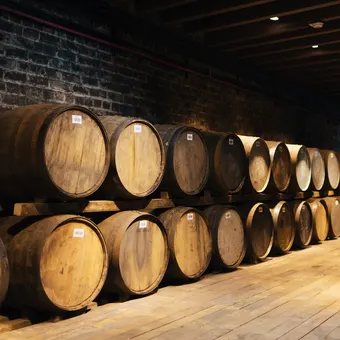 Maturation Room