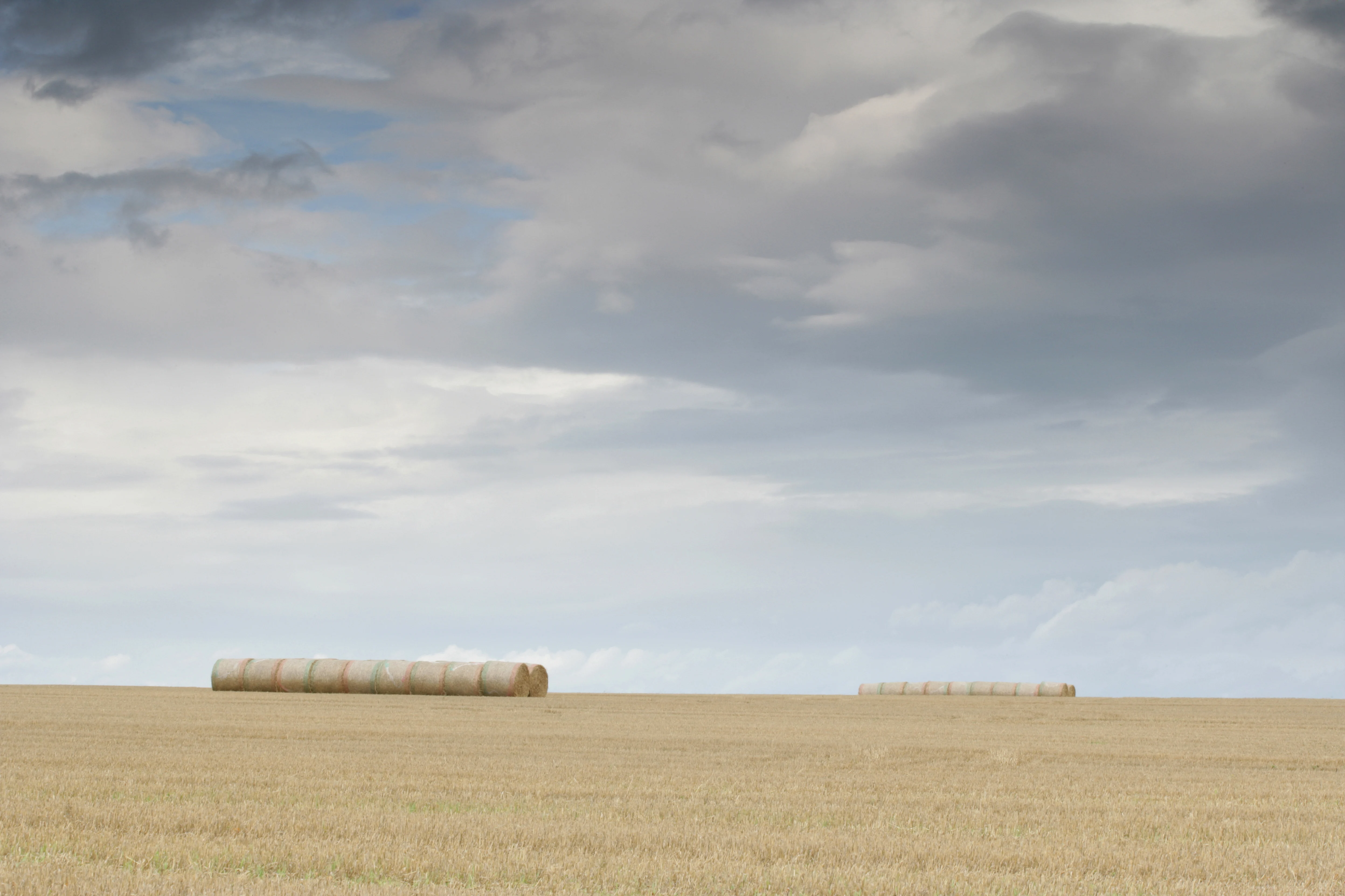 Ein großes Gerstenfeld
