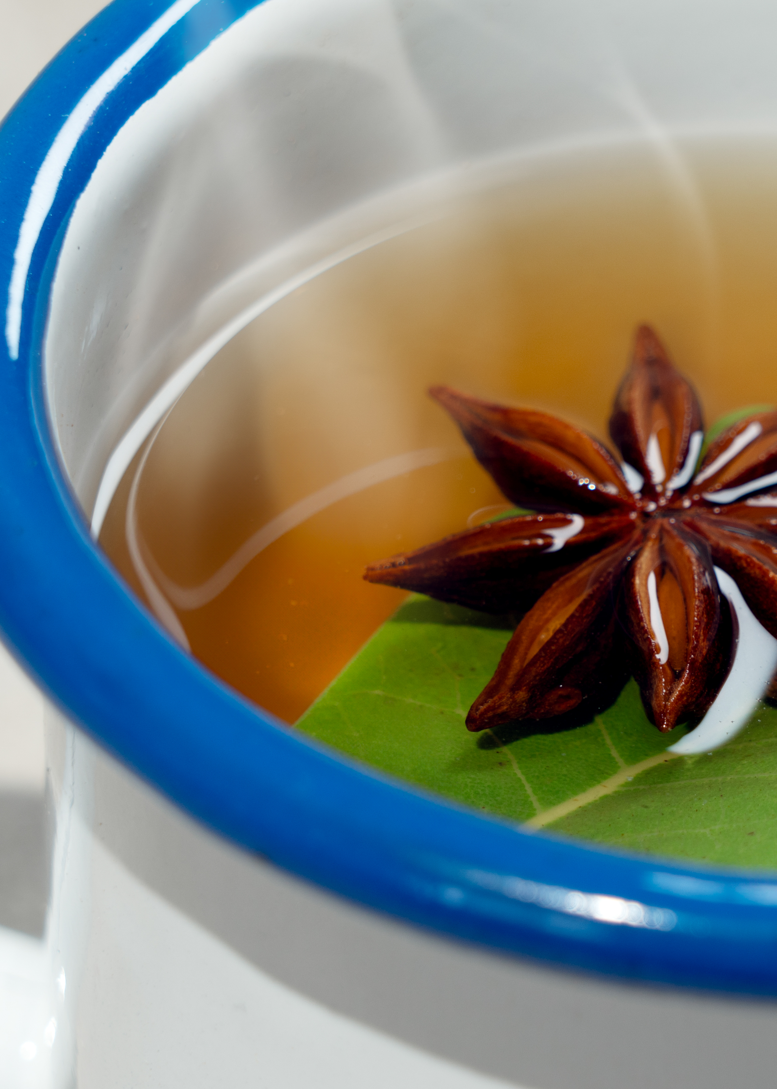 A close up of a white and blue ceramic mug, containing a brown liquid, a green leaf and a star anise.