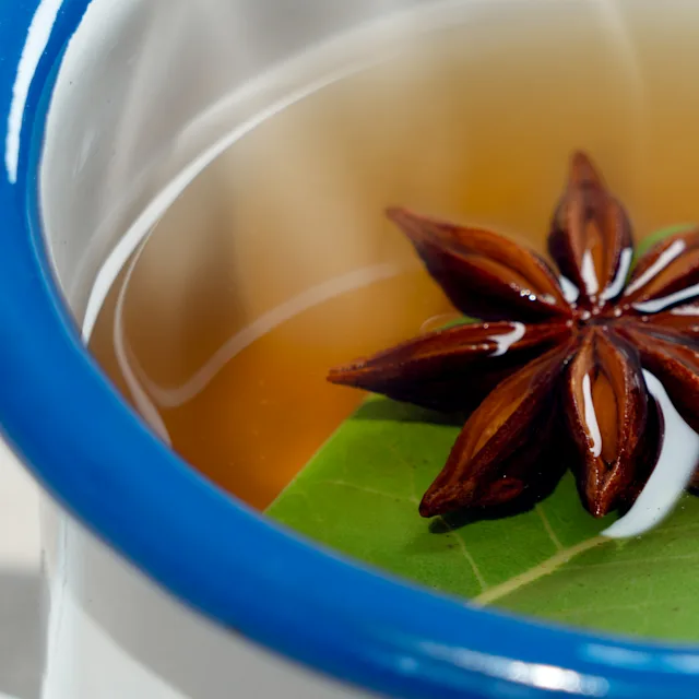A close up of a white and blue ceramic mug, containing a brown liquid, a green leaf and a star anise.