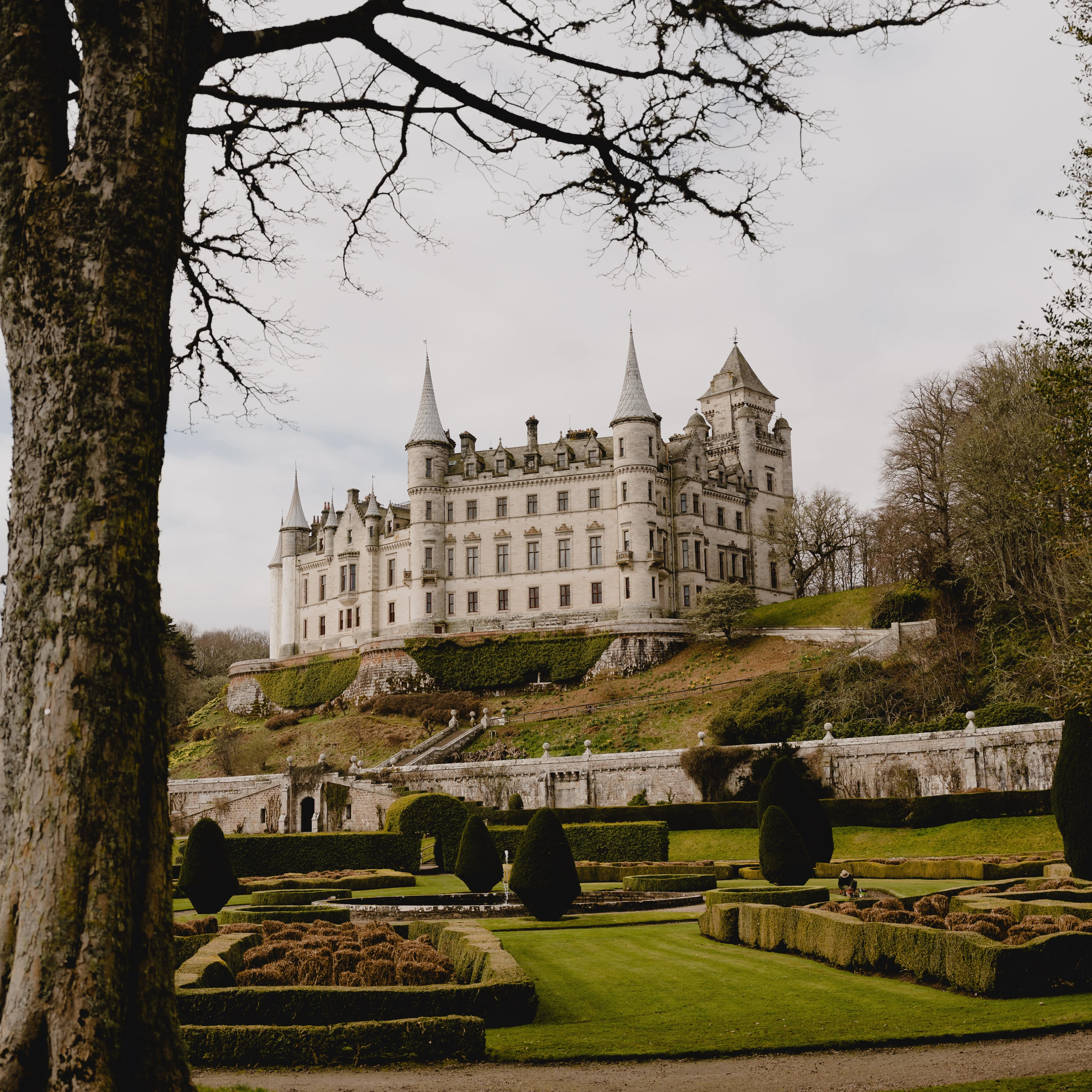 A white castle with pointed turrets in beautifully manicured grounds.