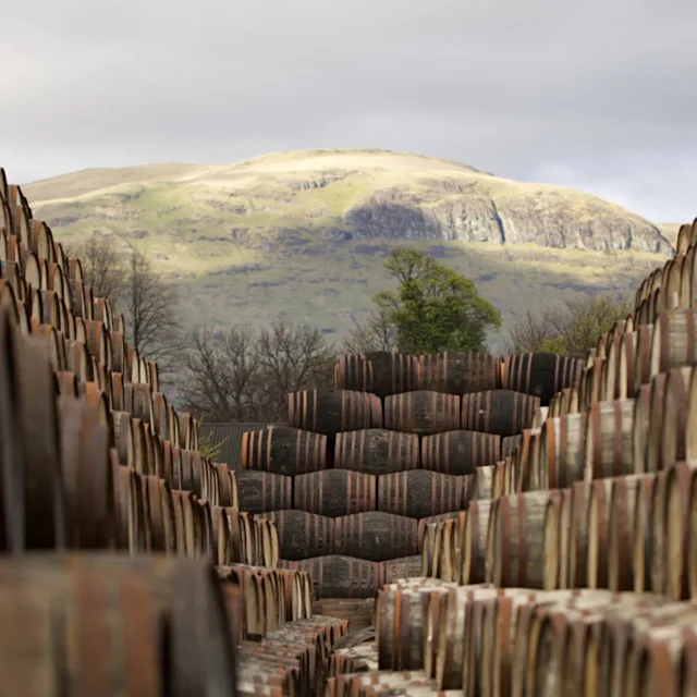 Hundreds of whisky barrels are stacked up, with a large mountain sitting behind them.