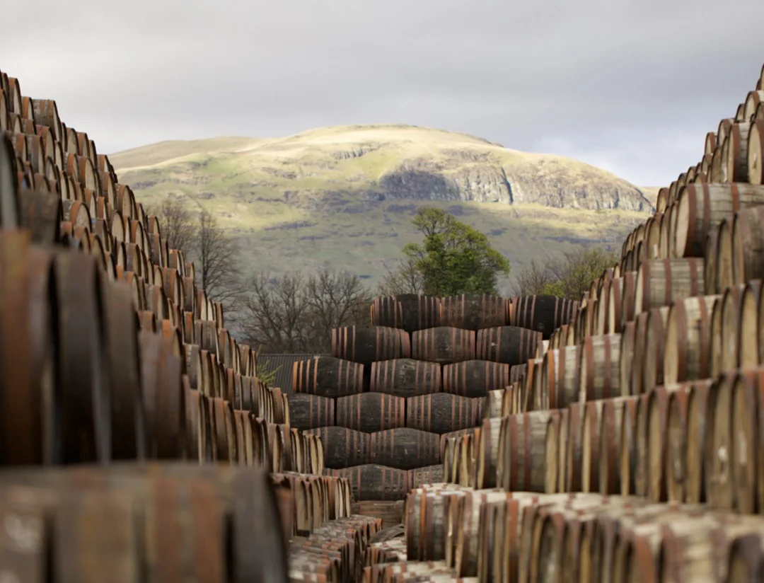 Hundreds of whisky barrels are stacked up, with a large mountain sitting behind them.